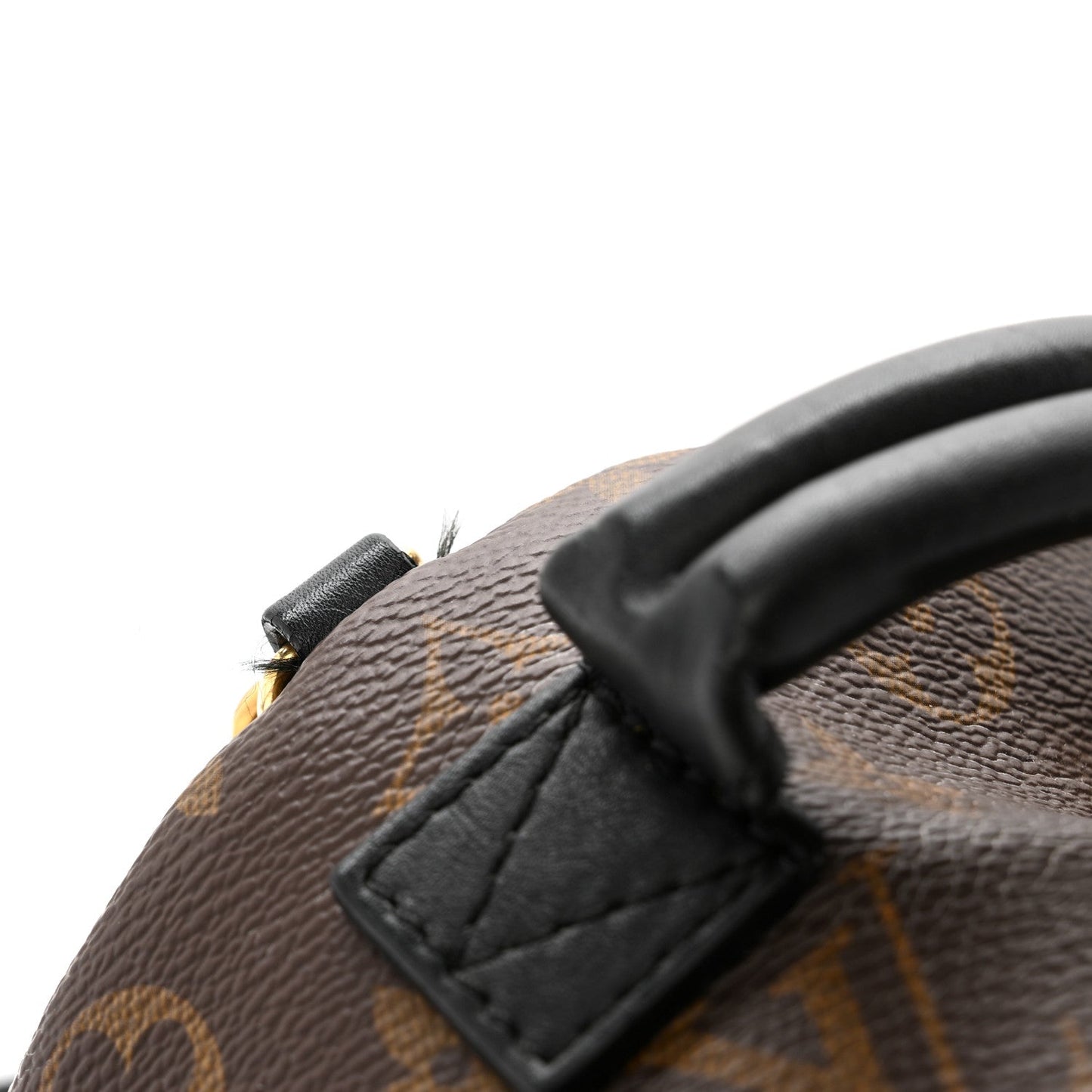 Monogram Palm Springs Backpack Mini