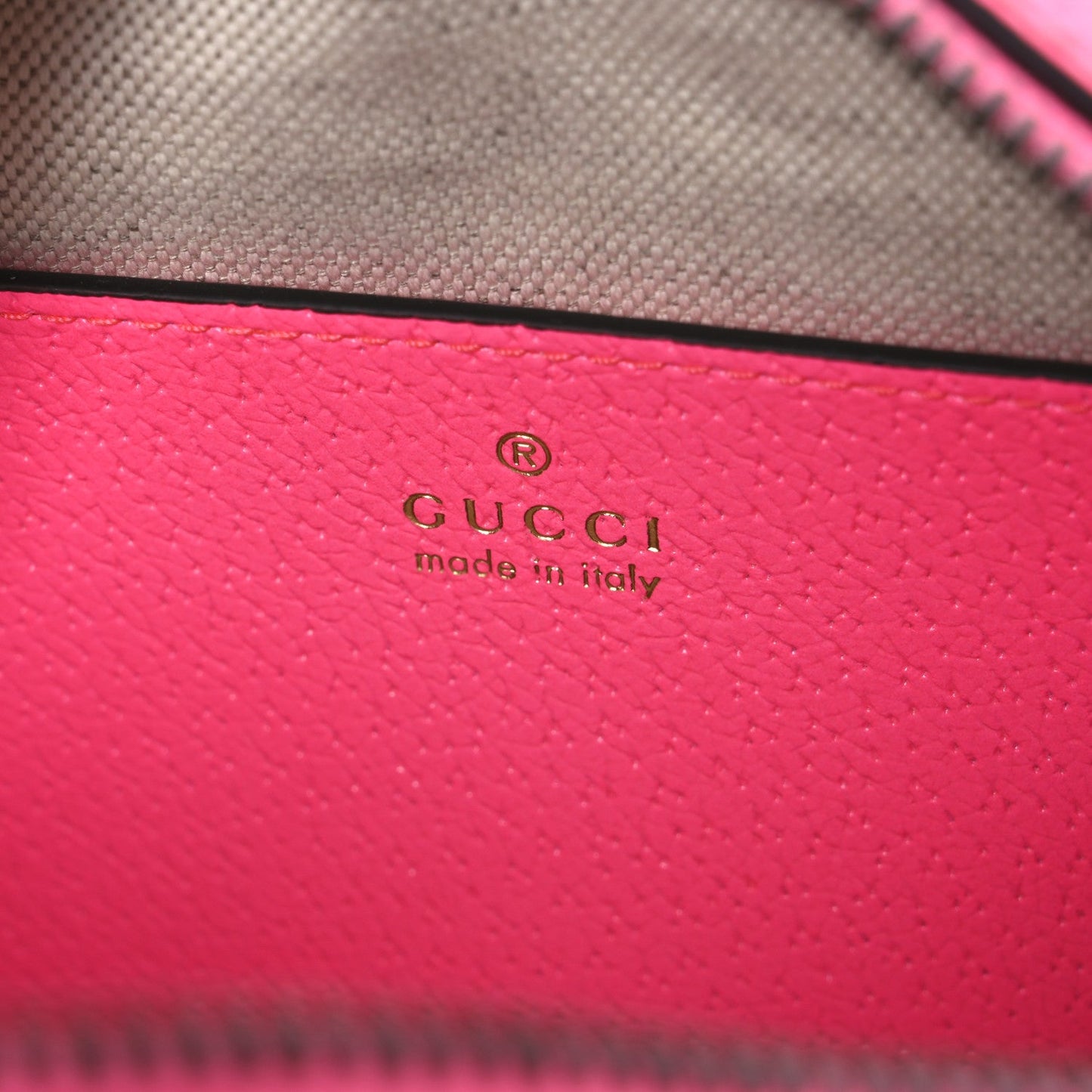 GG Supreme Monogram Textured Dollar Calfskin Web Ophidia Small Crossbody Bag Beige Ebony Fuchsia