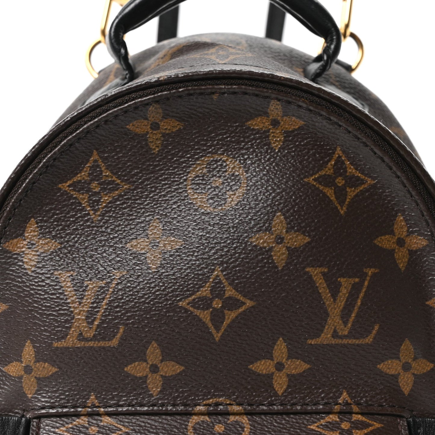 Monogram Palm Springs Backpack Mini