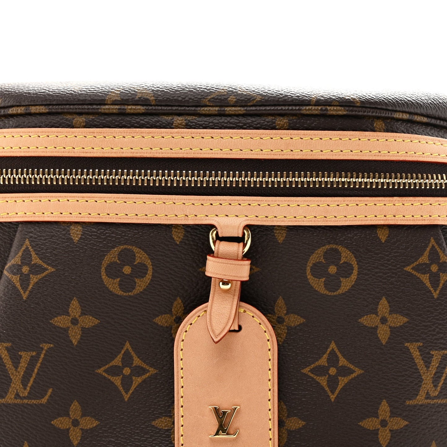 Monogram High Rise Bumbag