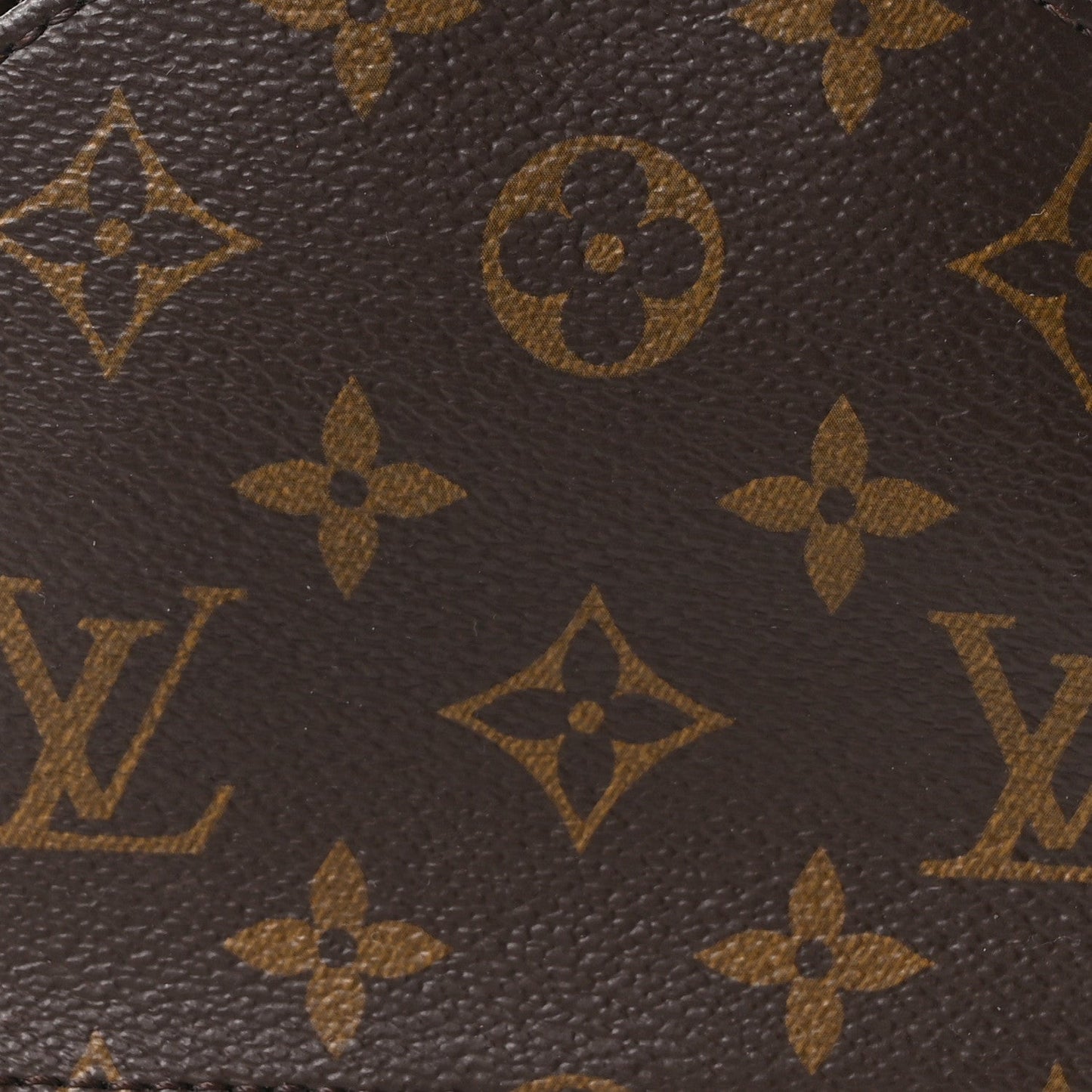 Monogram Palm Springs Backpack Mini