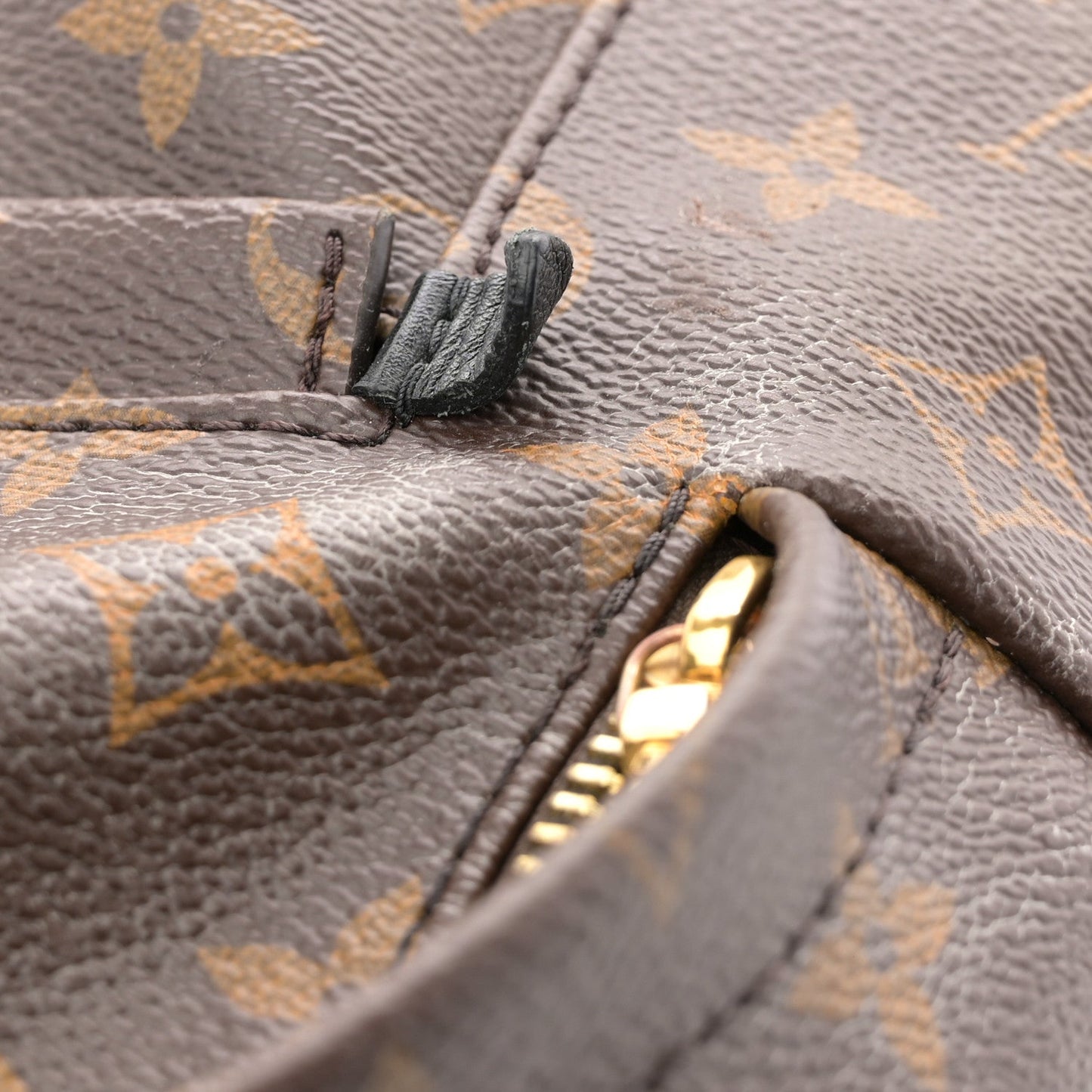 Monogram Palm Springs Backpack PM