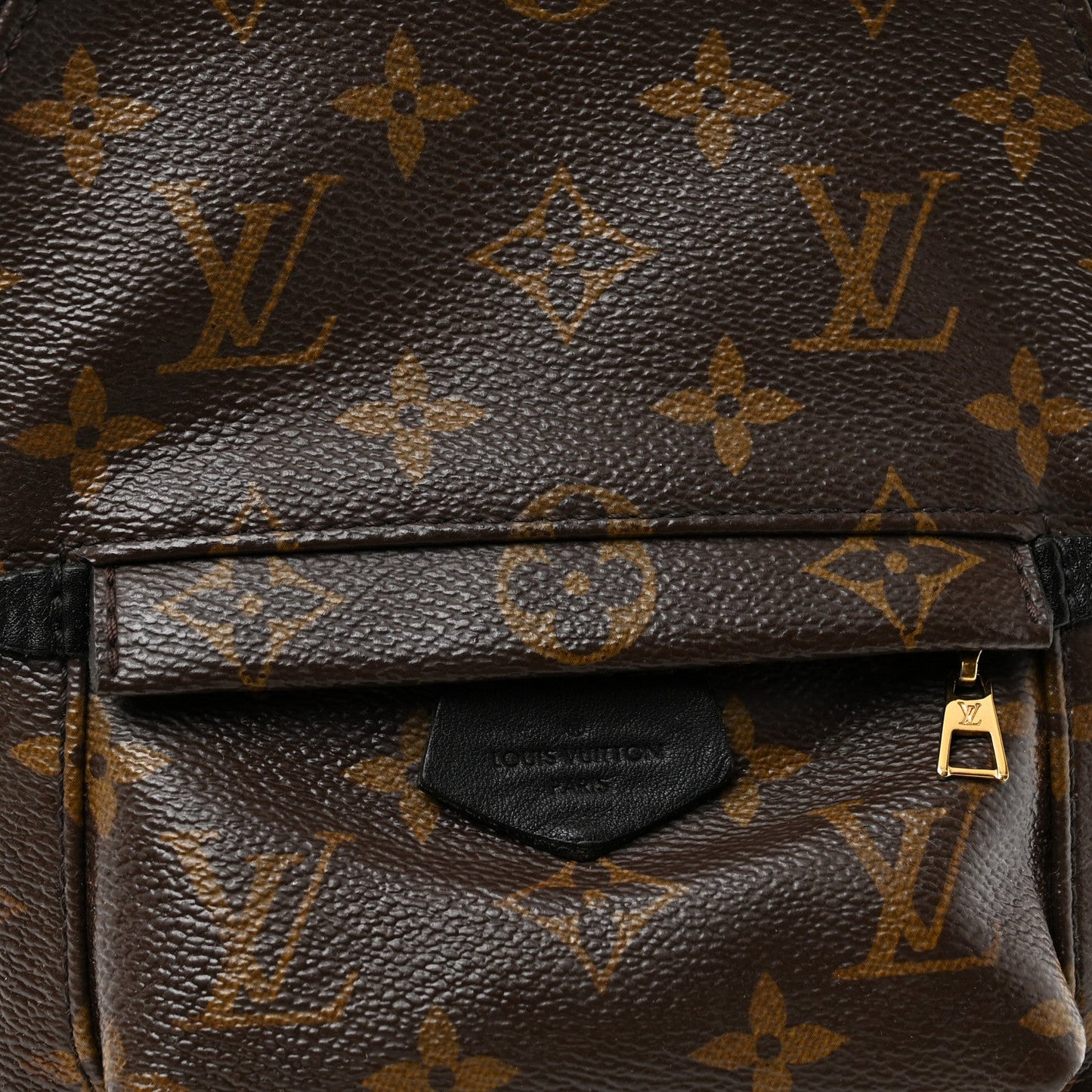 Monogram Palm Springs Backpack Mini