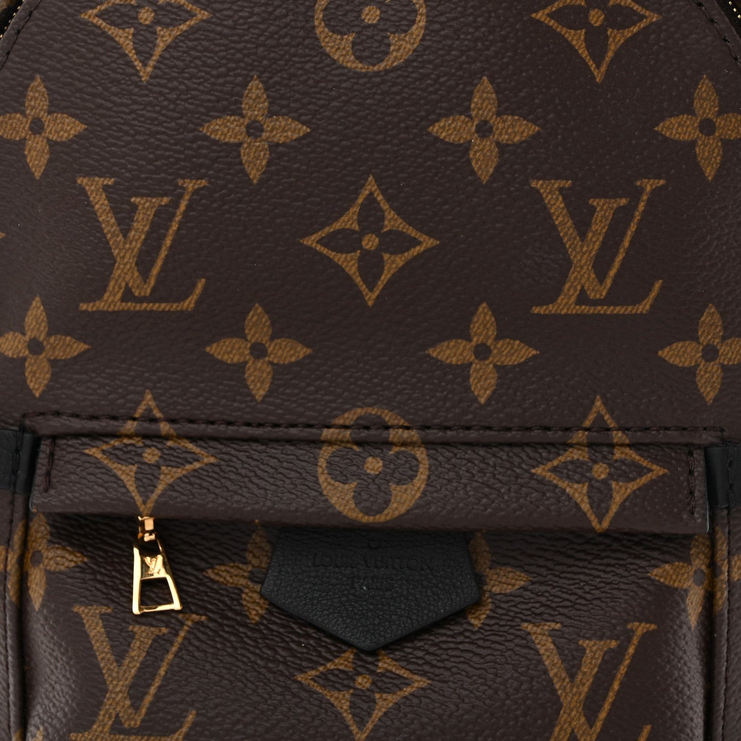 Monogram Palm Springs Backpack Mini