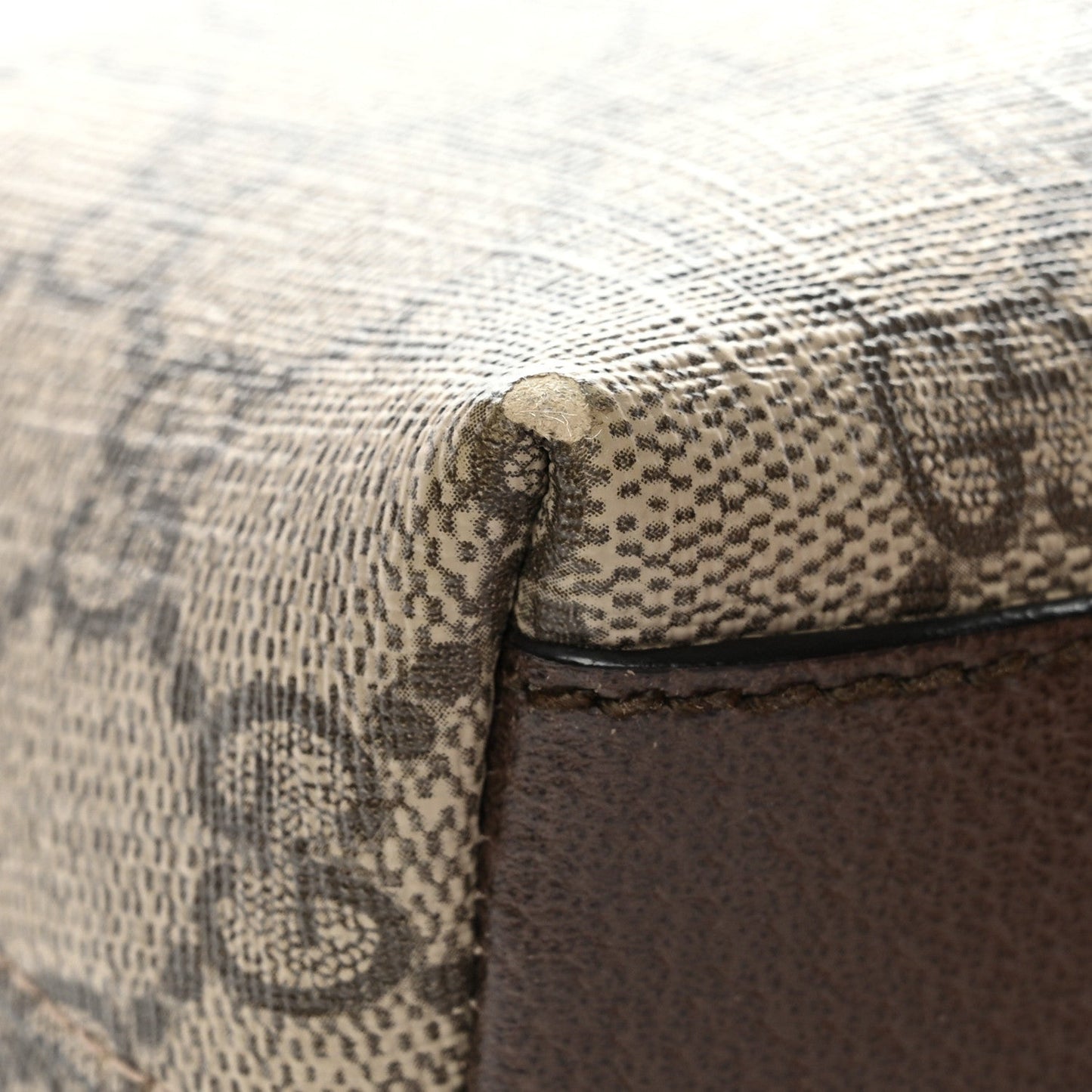 GG Supreme Monogram Textured Dollar Calfskin Web Small Ophidia Dome Shoulder Bag Beige Ebony New Acero