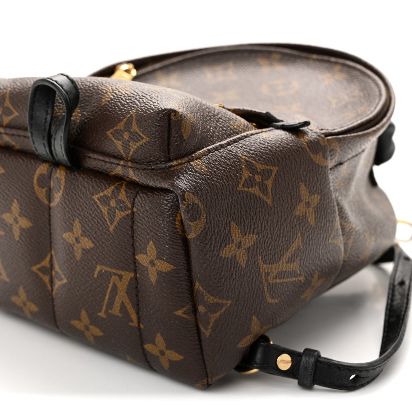 Monogram Palm Springs Backpack Mini