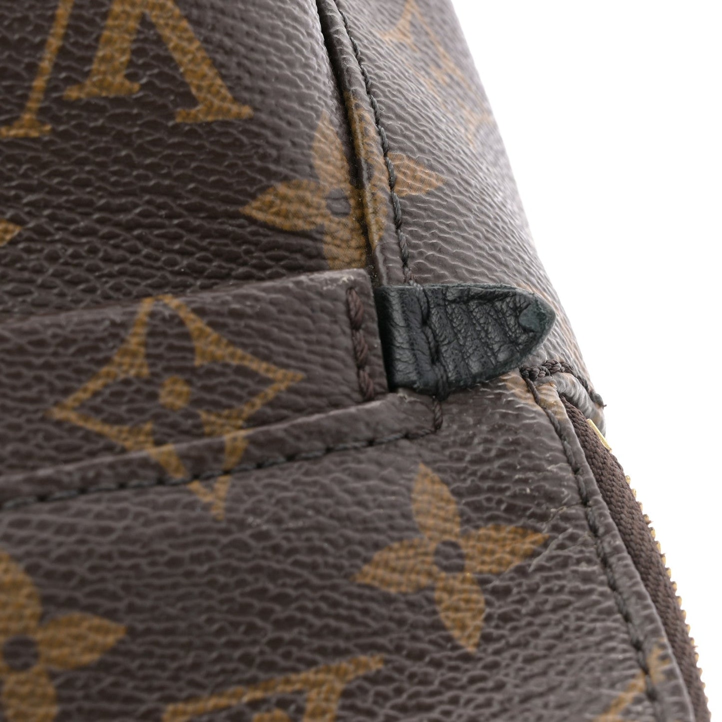 Monogram Palm Springs Backpack Mini