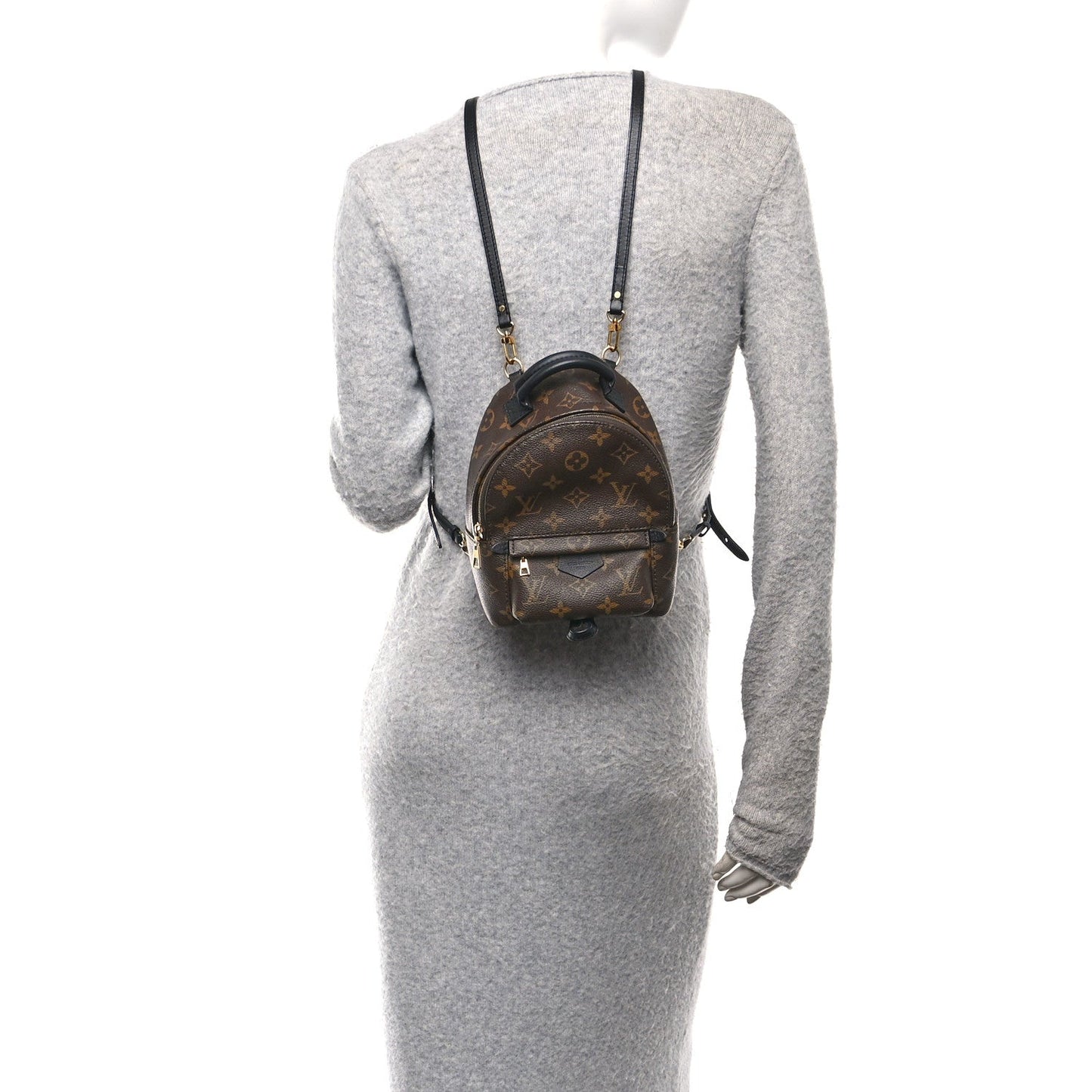 Monogram Palm Springs Backpack Mini