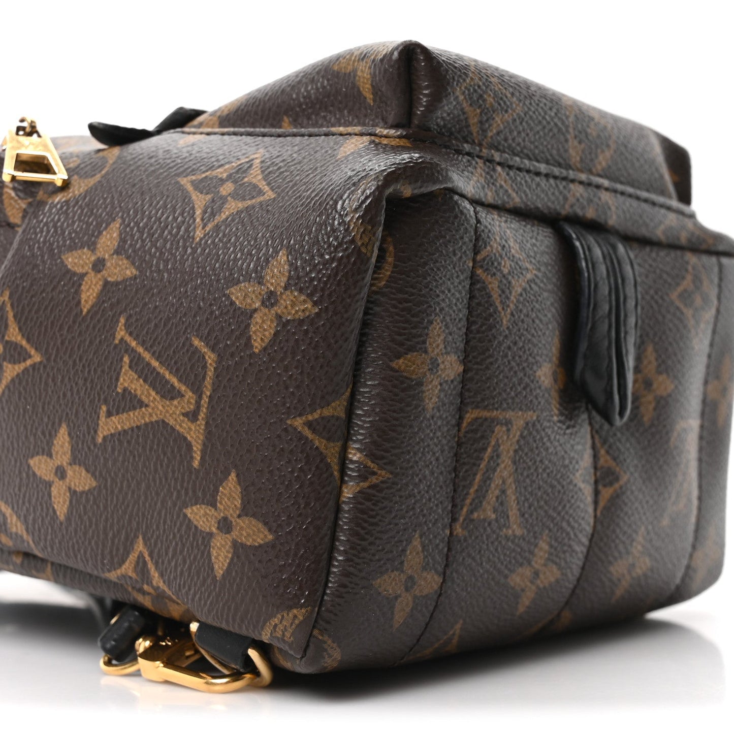 Monogram Palm Springs Backpack Mini