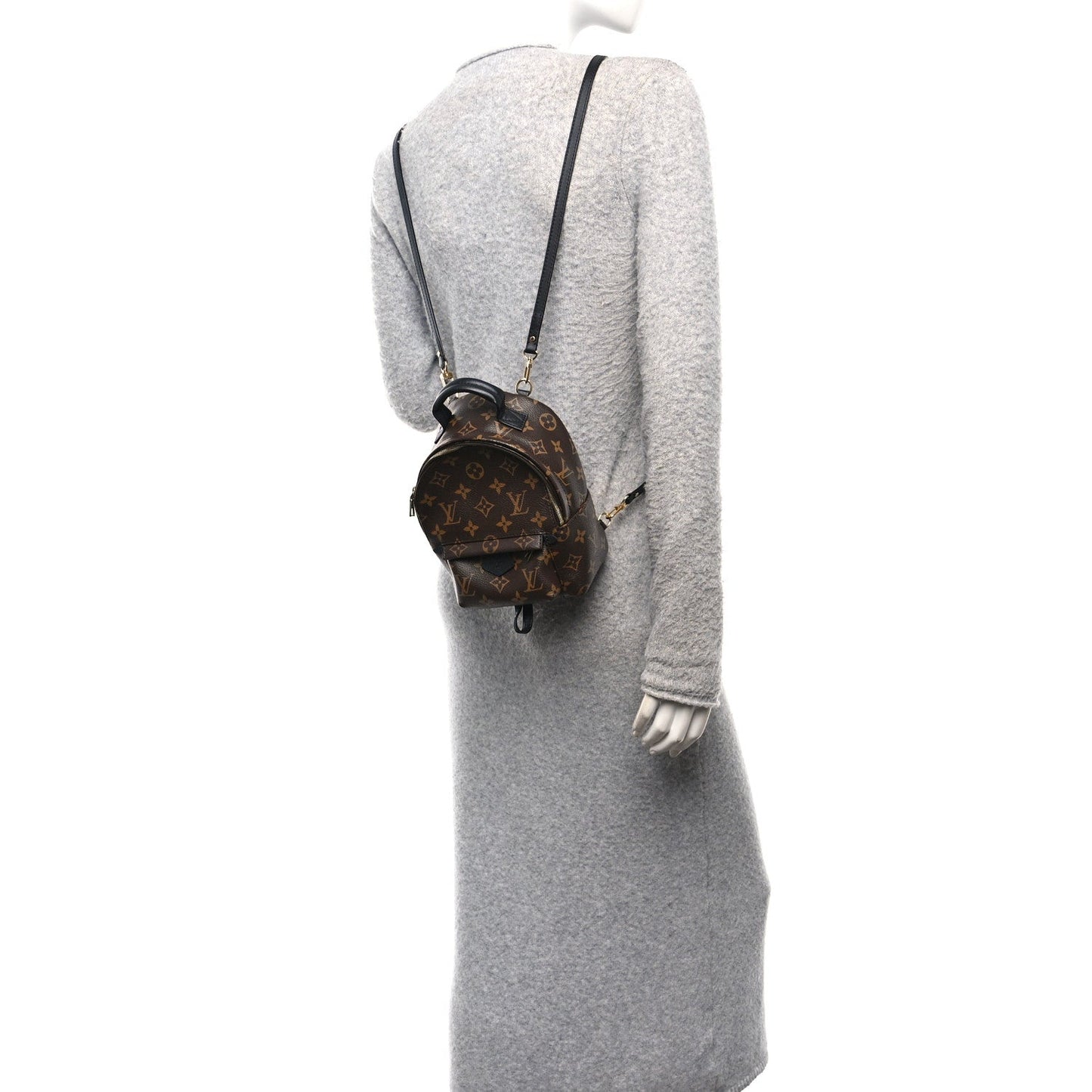 Monogram Palm Springs Backpack Mini