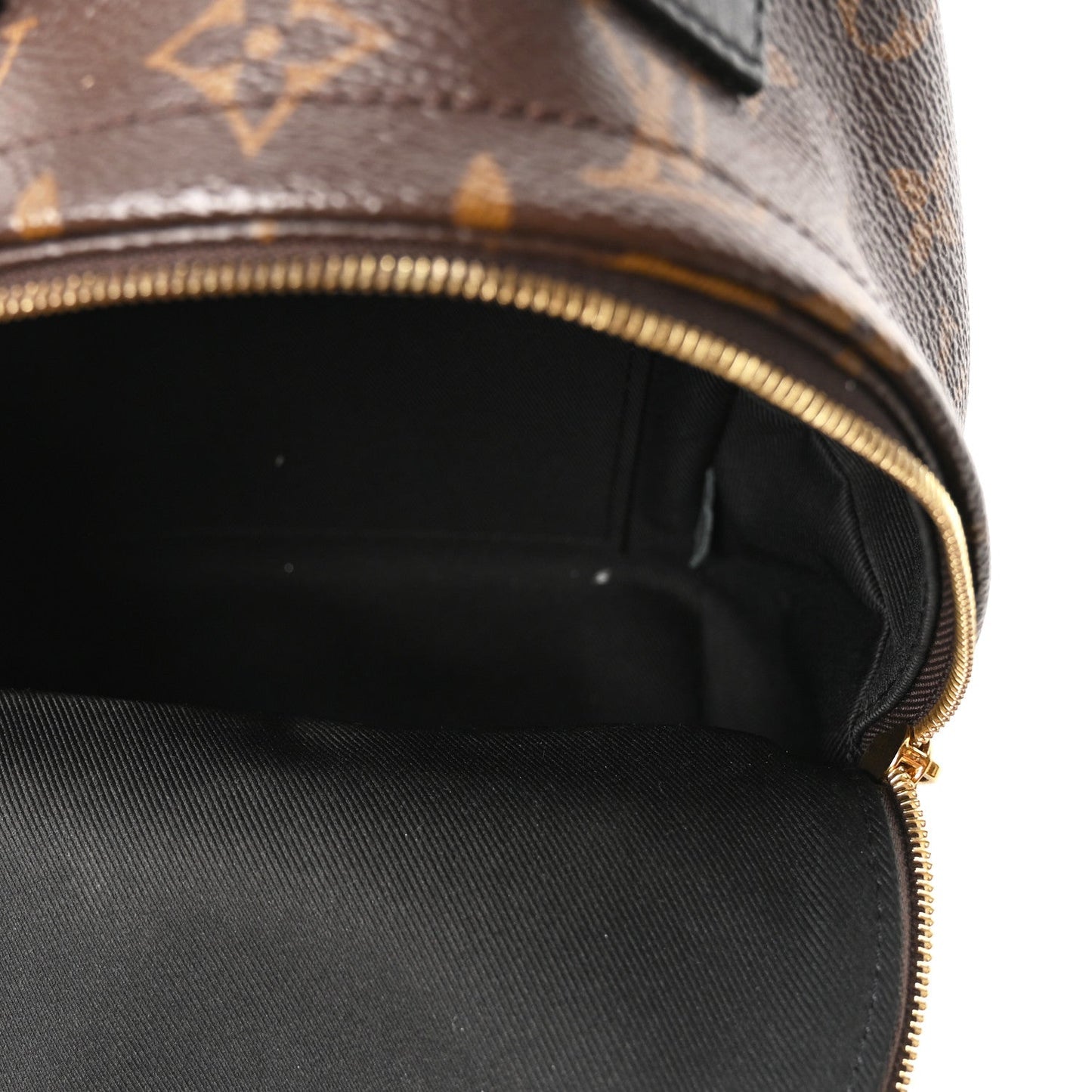 Monogram Palm Springs Backpack Mini