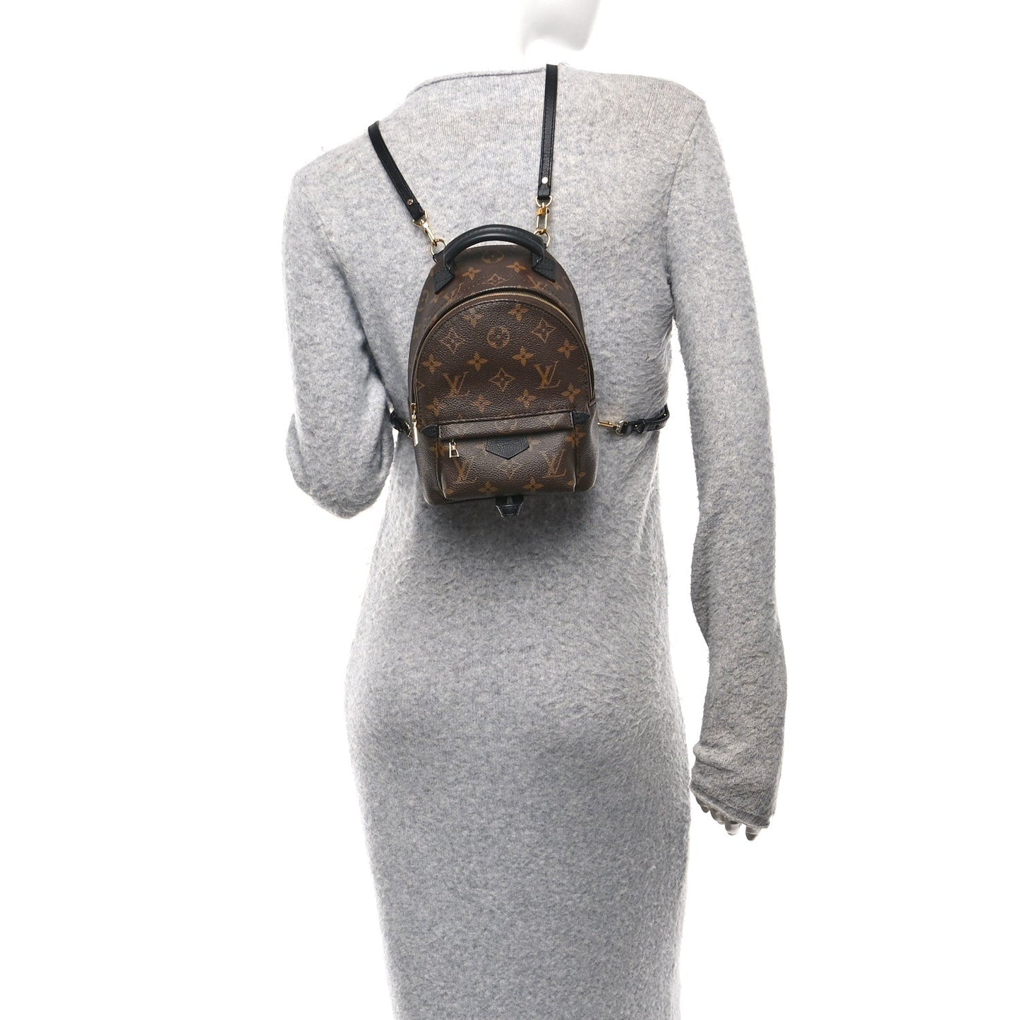Monogram Palm Springs Backpack Mini