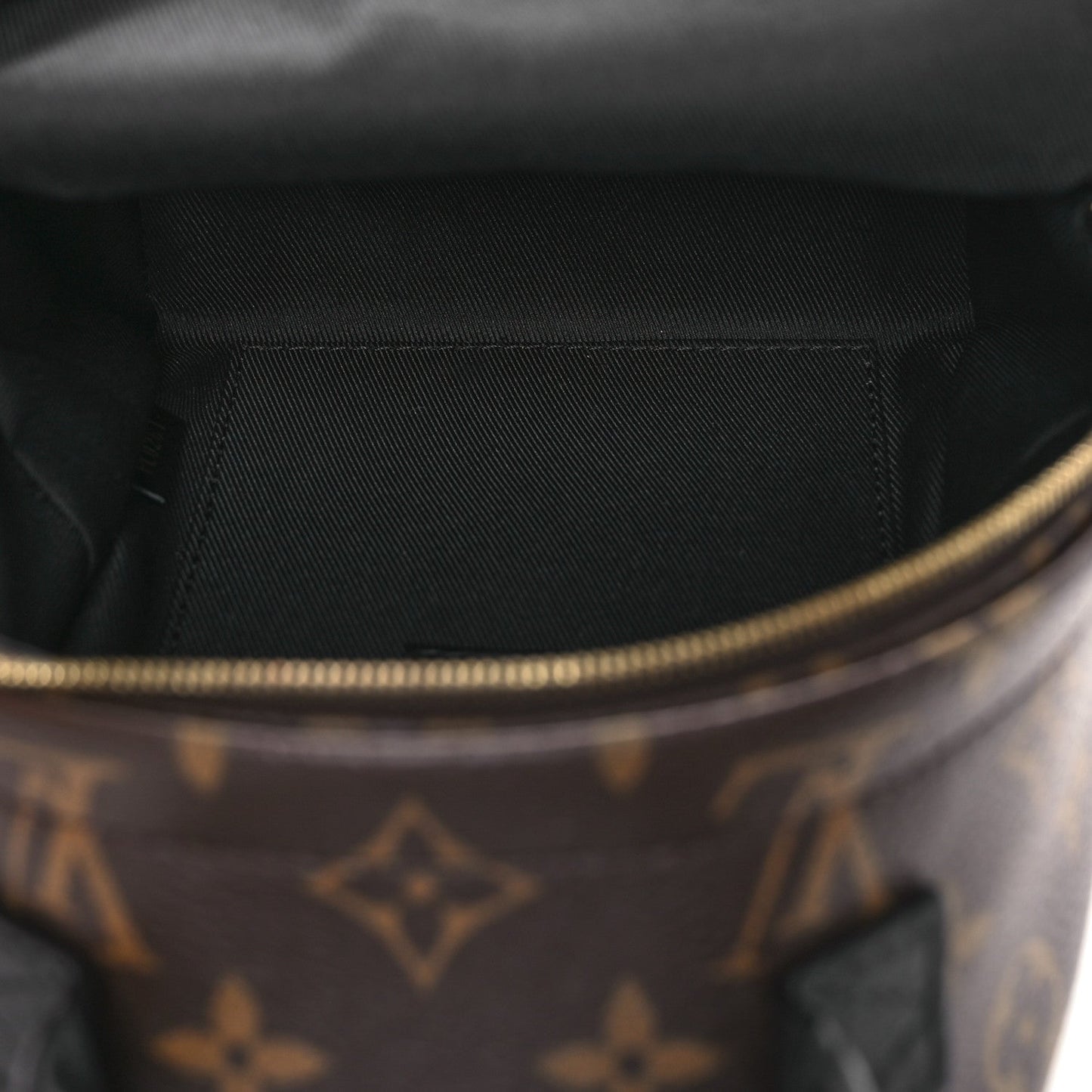 Monogram Palm Springs Backpack Mini