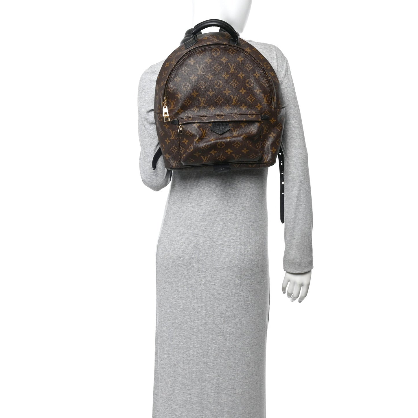 Monogram Palm Springs Backpack MM