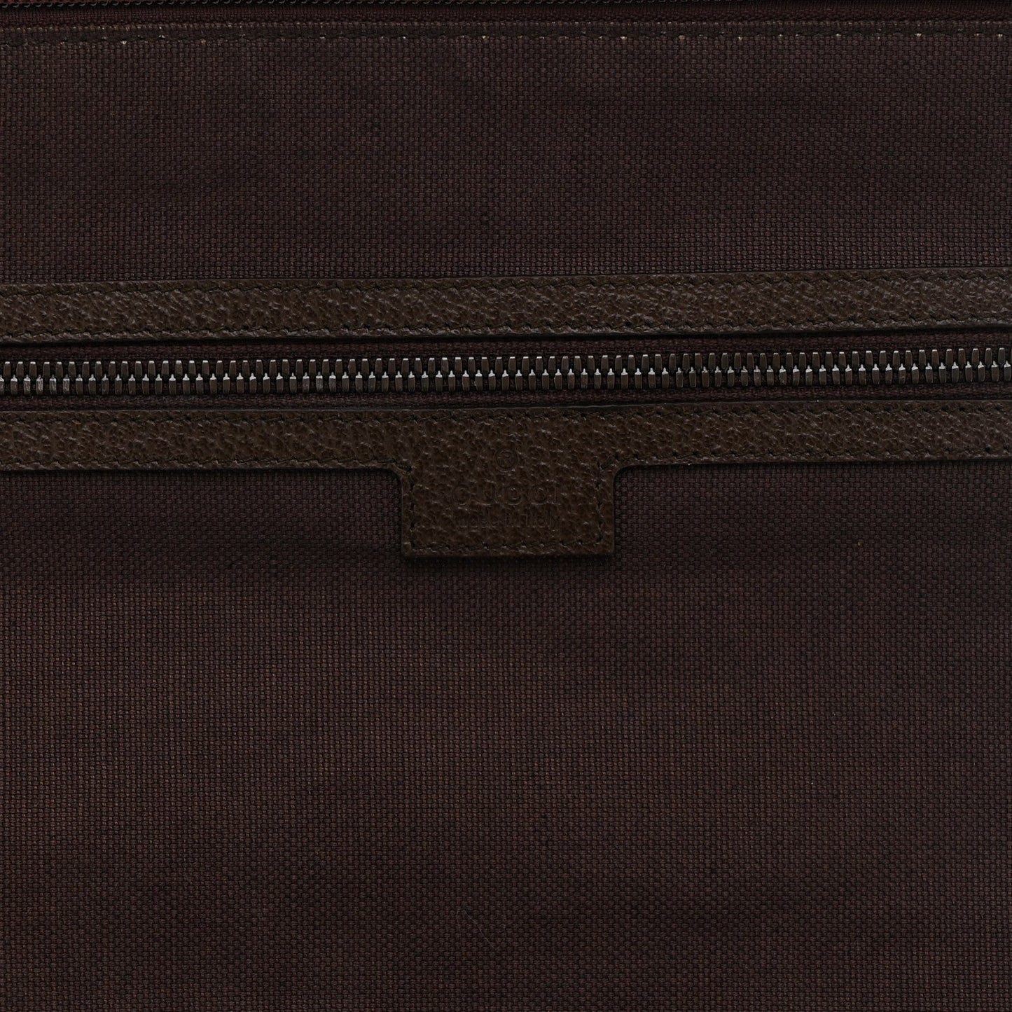 GG Supreme Monogram Textured Dollar Calfskin Web Ophidia Savoy Garment Bag Beige Ebony New Acero