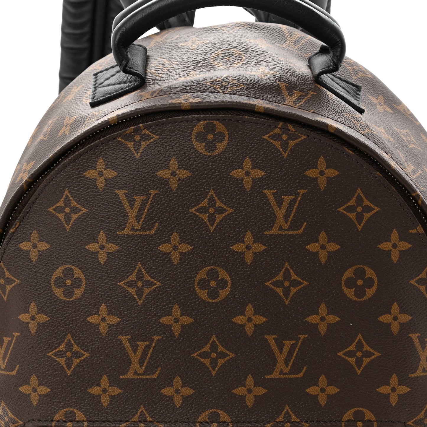 Monogram Palm Springs Backpack MM