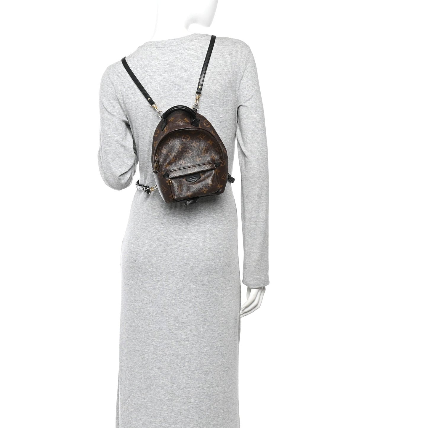 Monogram Palm Springs Backpack Mini