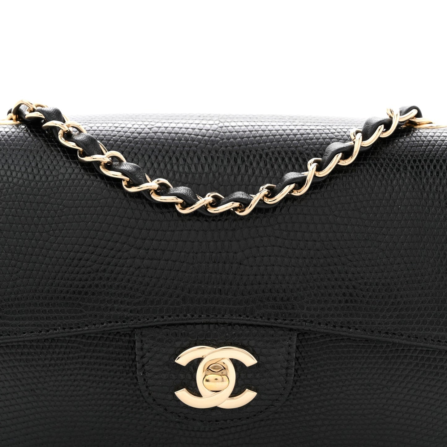 Lizard Mini Rectangular Flap Black