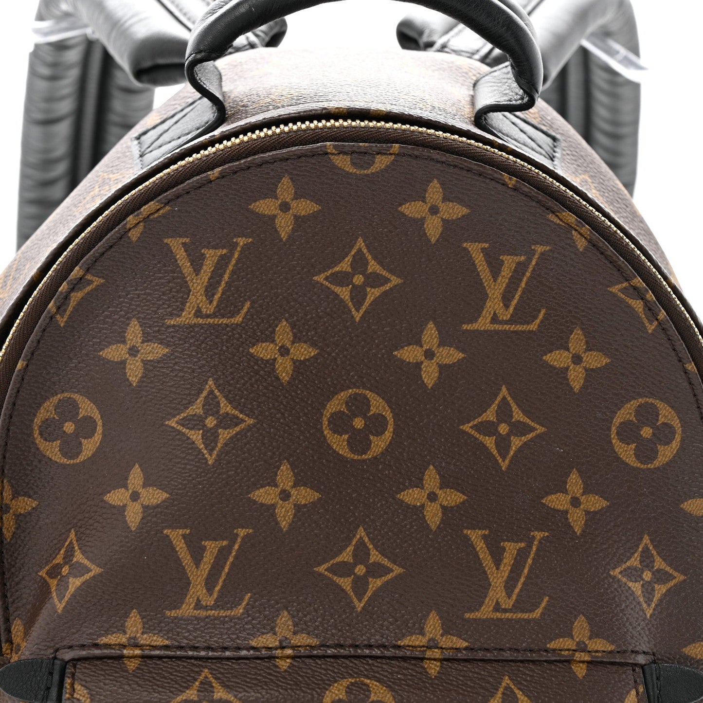 Monogram Palm Springs Backpack PM