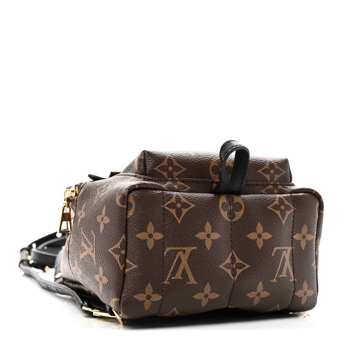 Monogram Palm Springs Backpack Mini