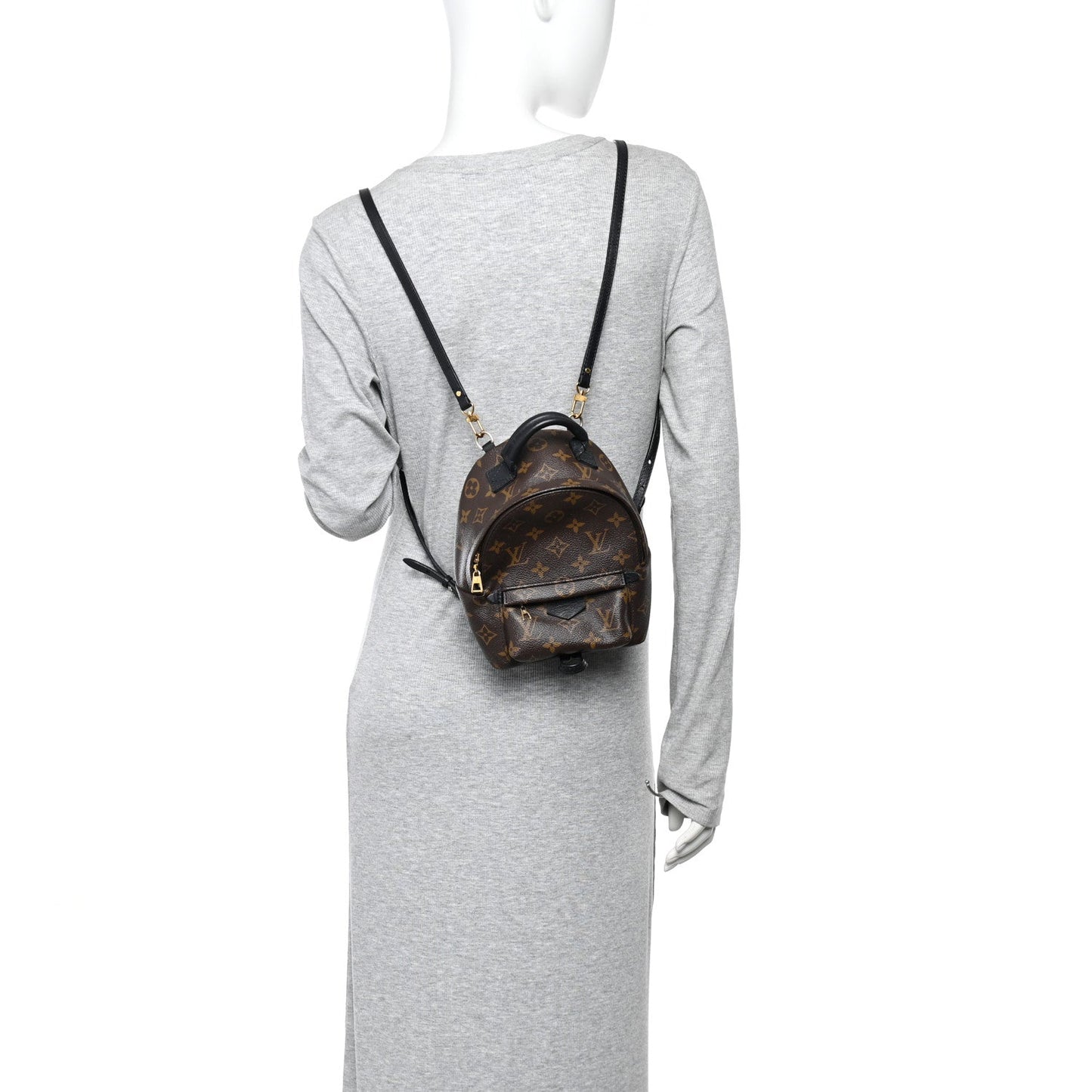 Monogram Palm Springs Backpack Mini