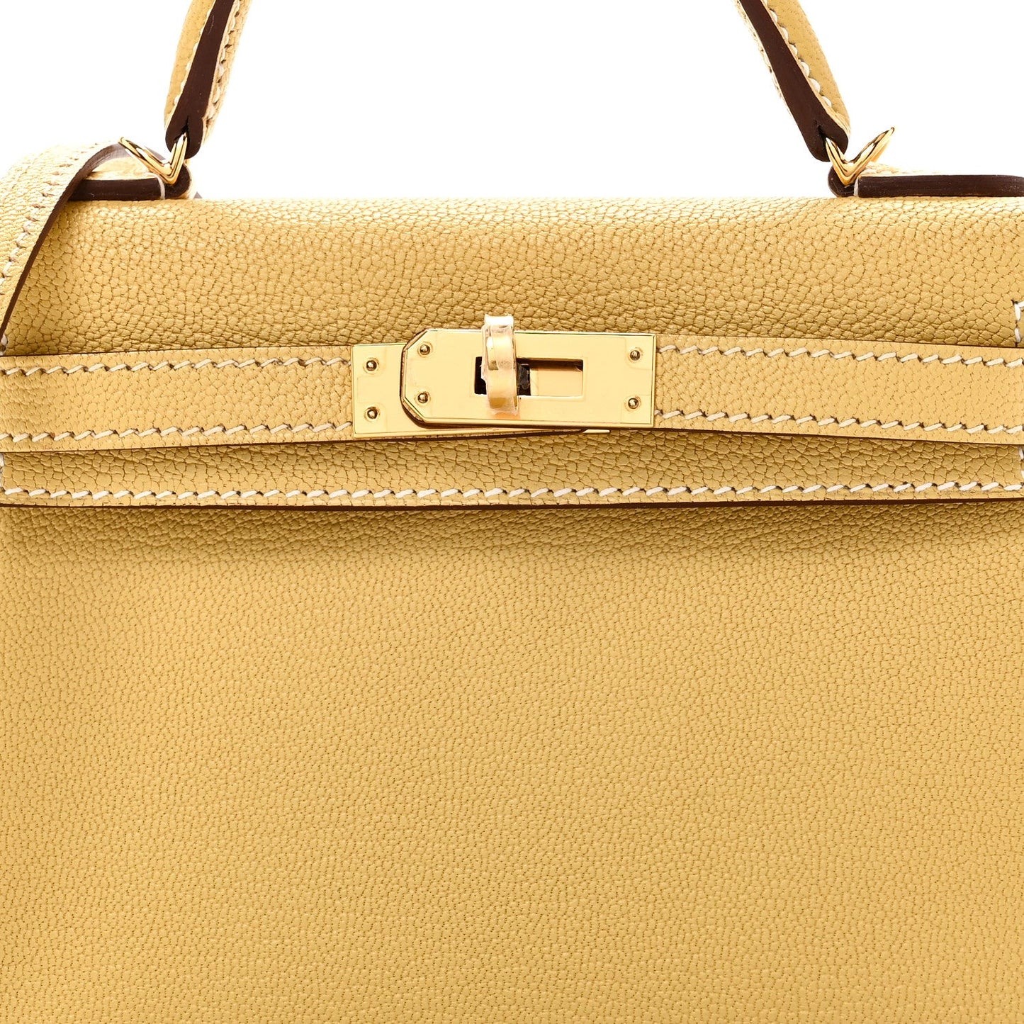Chevre Mysore Mini Kelly Sellier 20 Foin