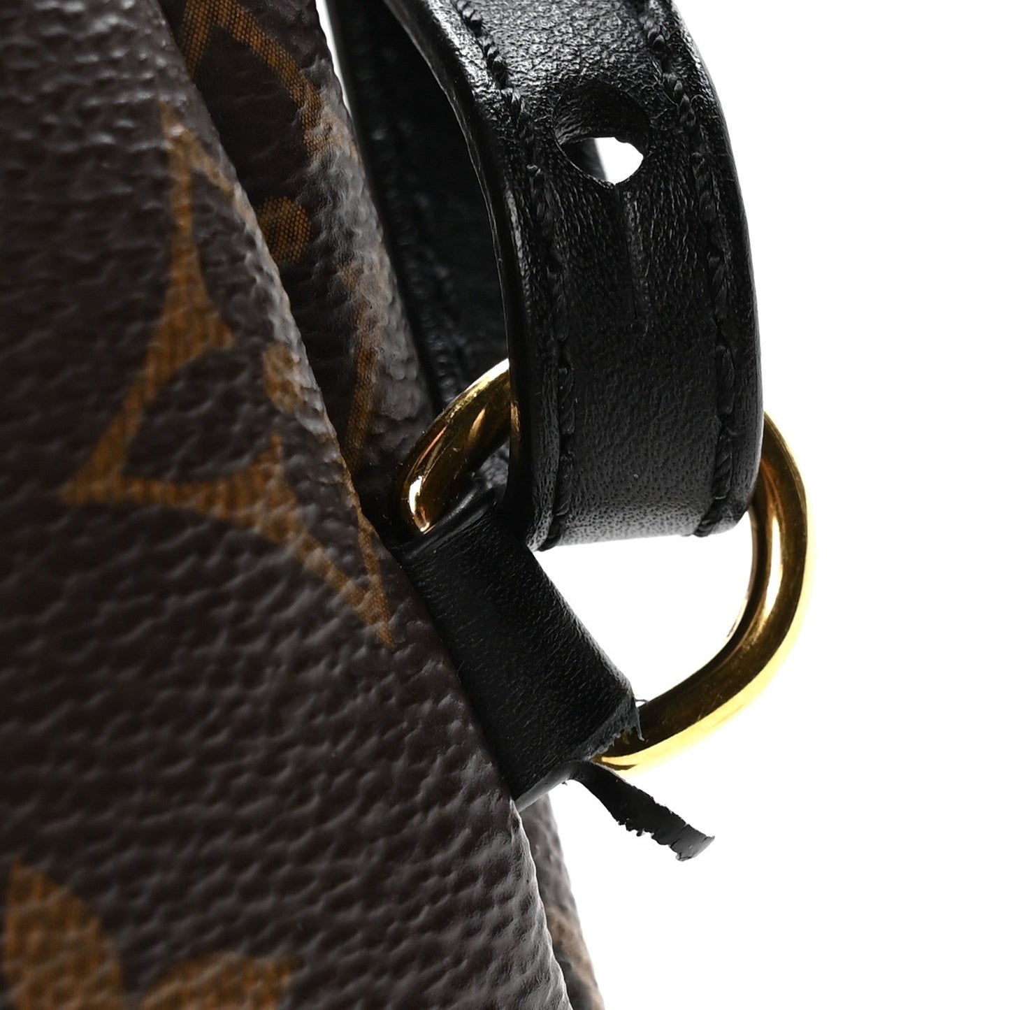 Monogram Palm Springs Backpack Mini