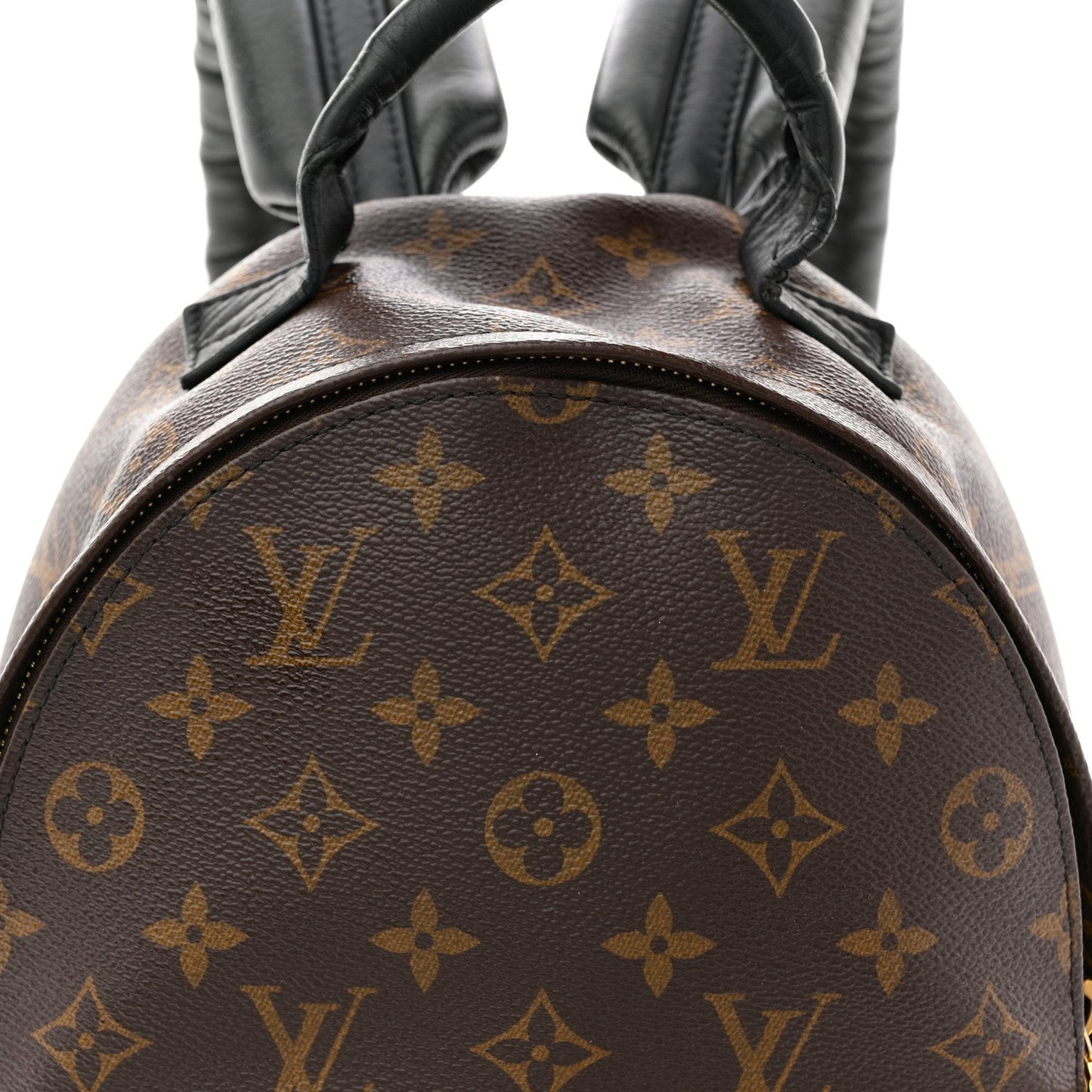 Monogram Palm Springs Backpack PM