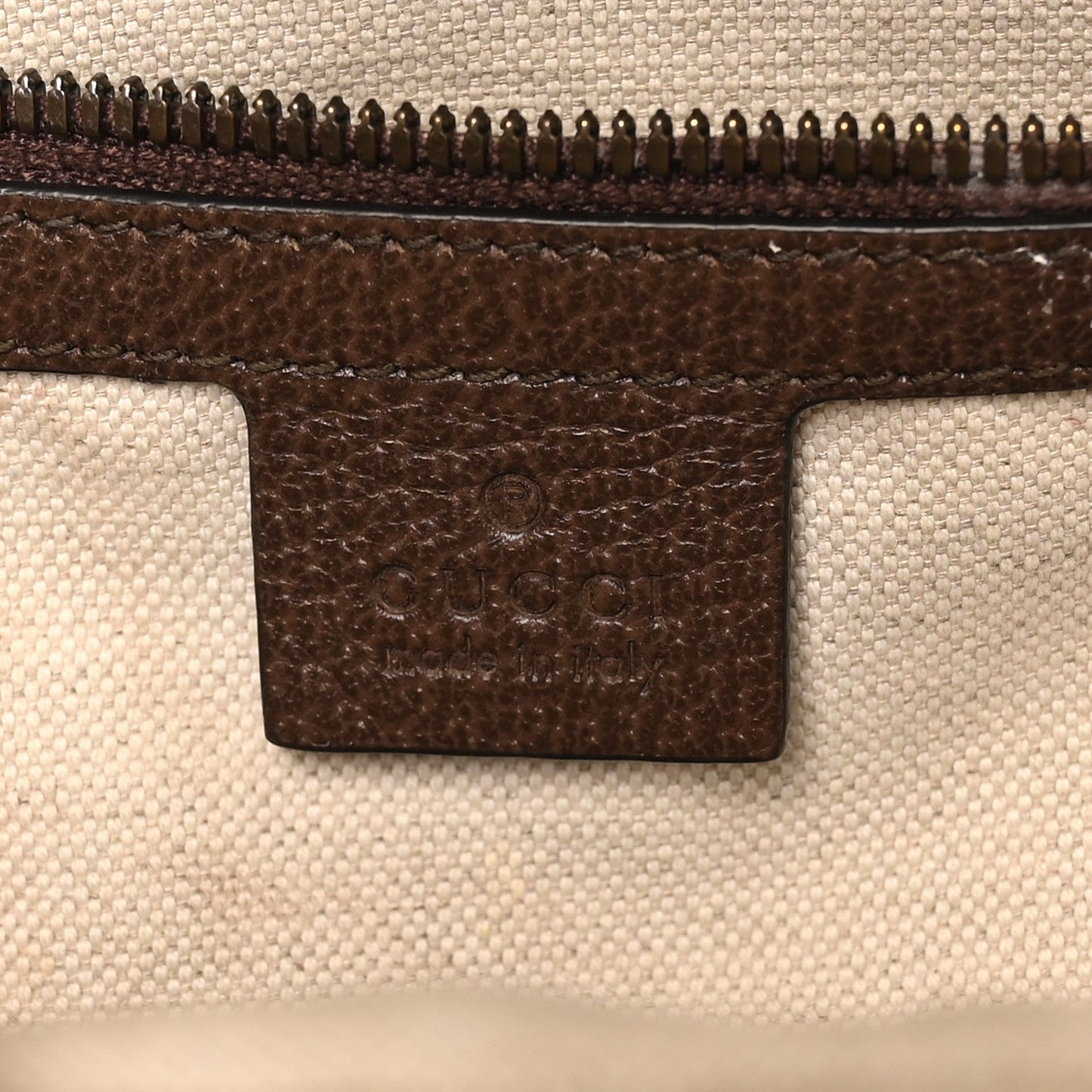 GG Supreme Monogram Medium Ophidia Day Backpack Brown