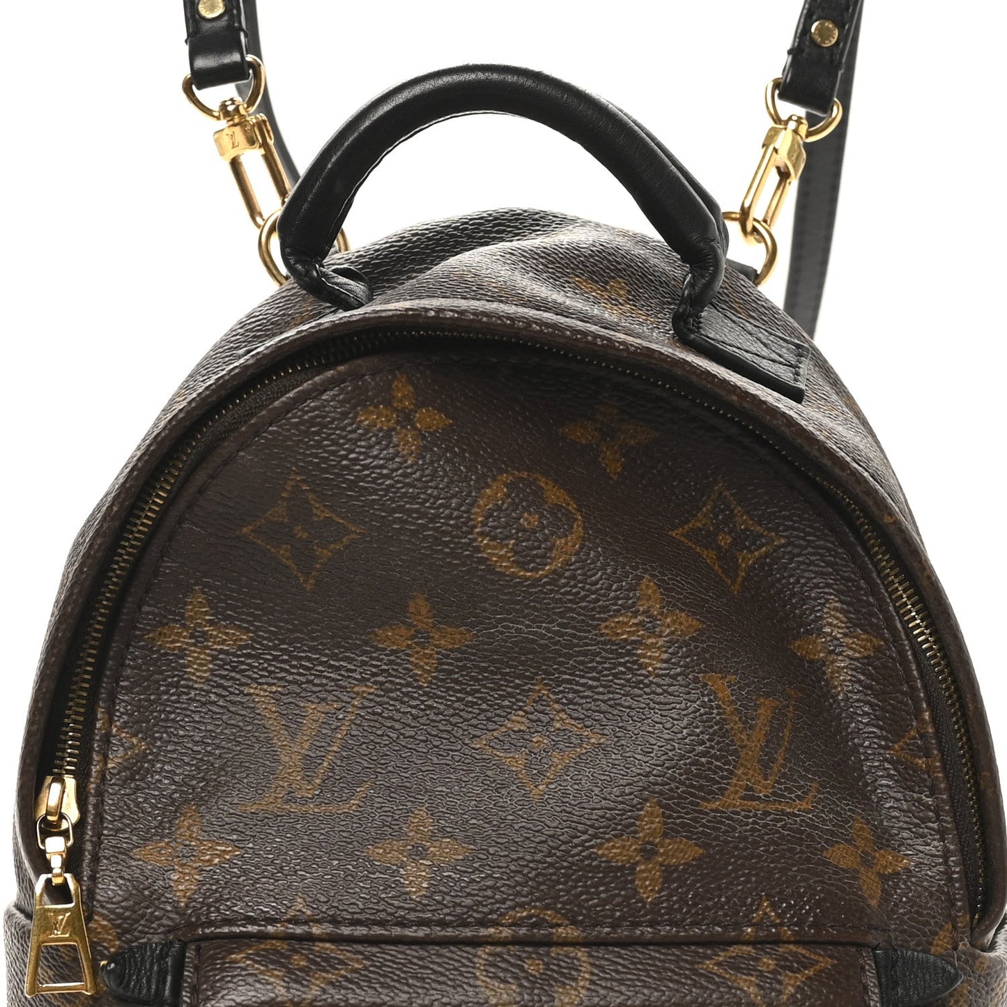Monogram Palm Springs Backpack Mini