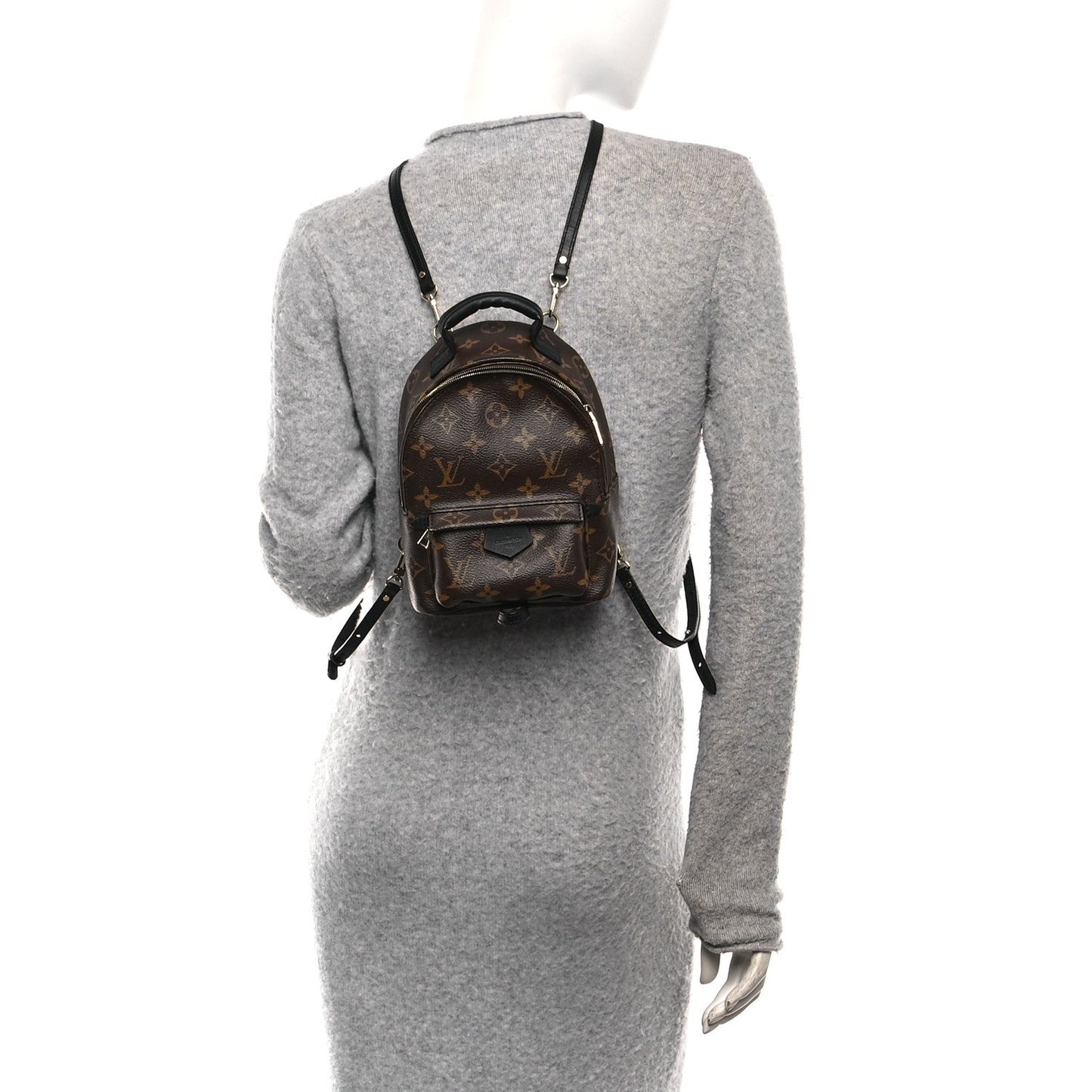 Monogram Palm Springs Backpack Mini