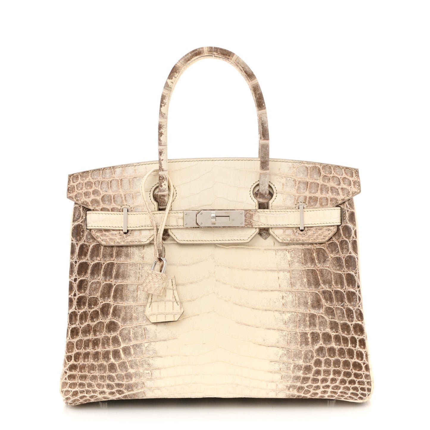 Matte Niloticus Crocodile Himalaya Birkin 30 Blanc