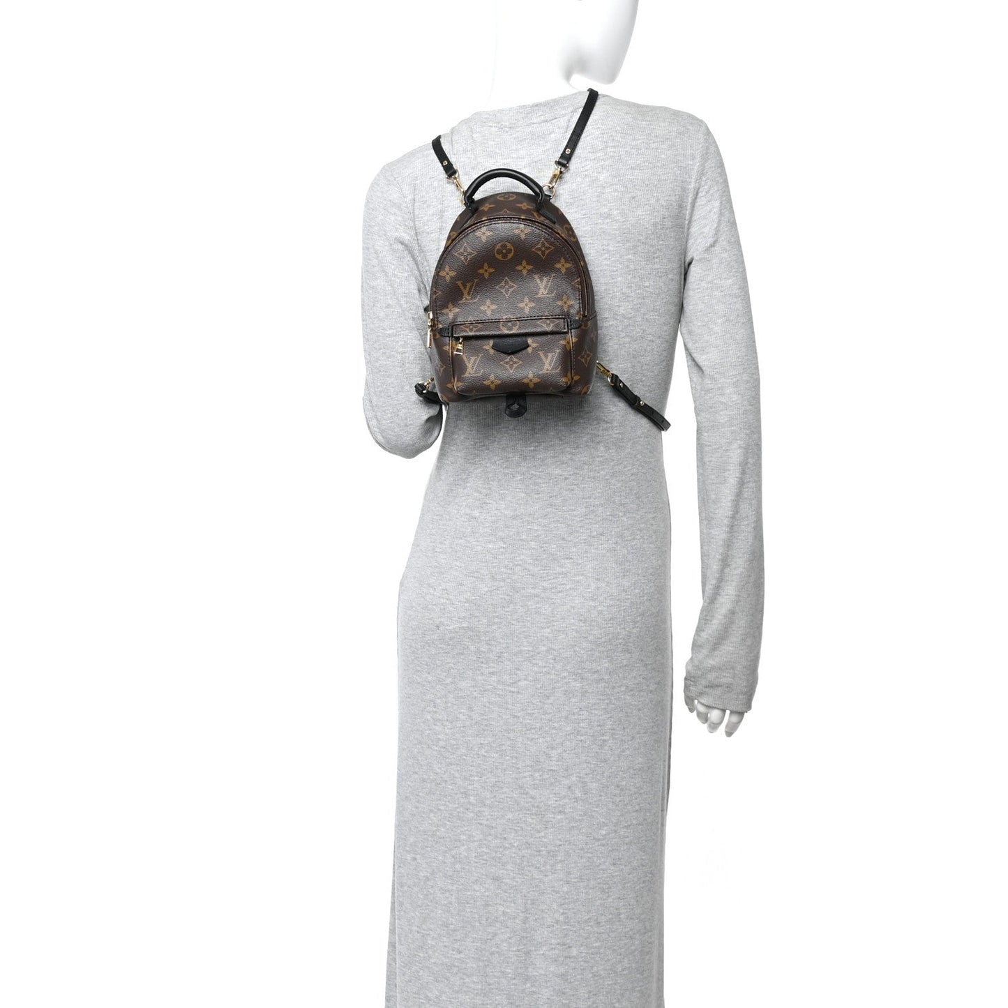 Monogram Palm Springs Backpack Mini