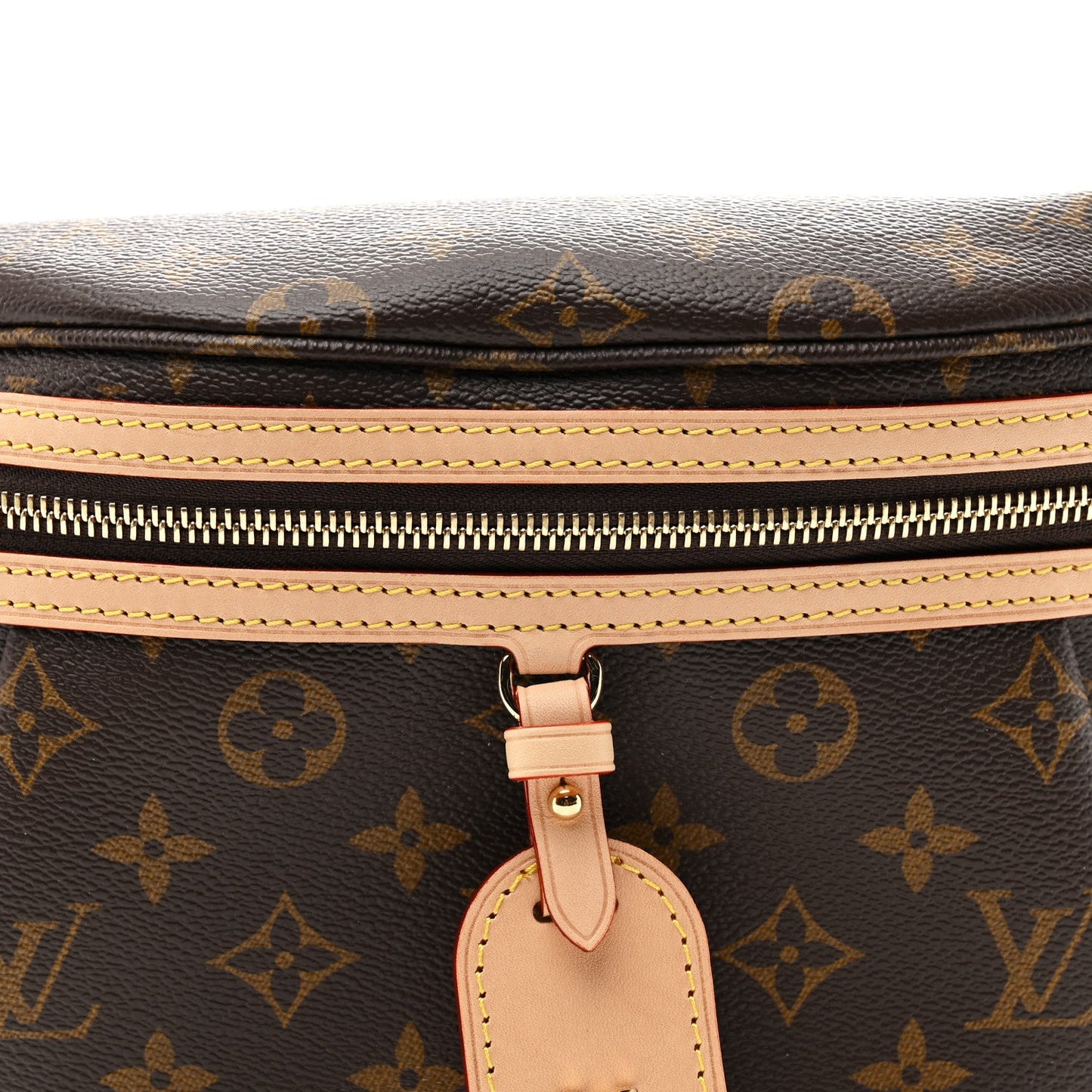 Monogram High Rise Bumbag