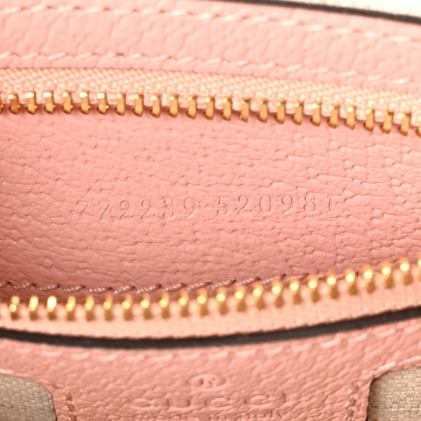 GG Supreme Monogram Textured Dollar Calfskin Mini Ophidia Flap Shoulder Bag Rose Pink