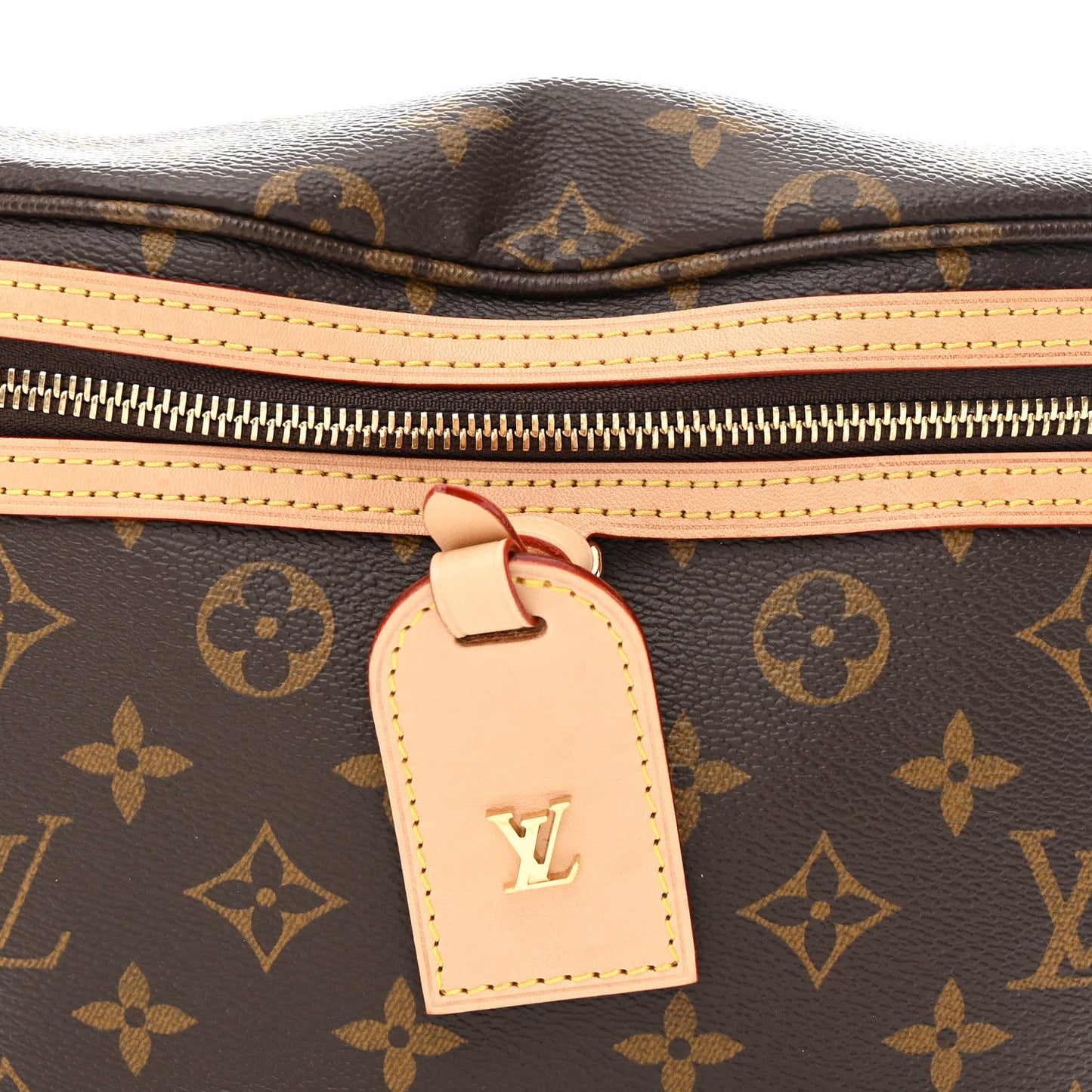 Monogram High Rise Bumbag