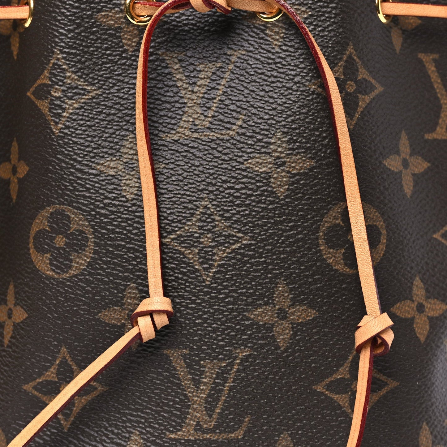 Monogram Nano Noe
