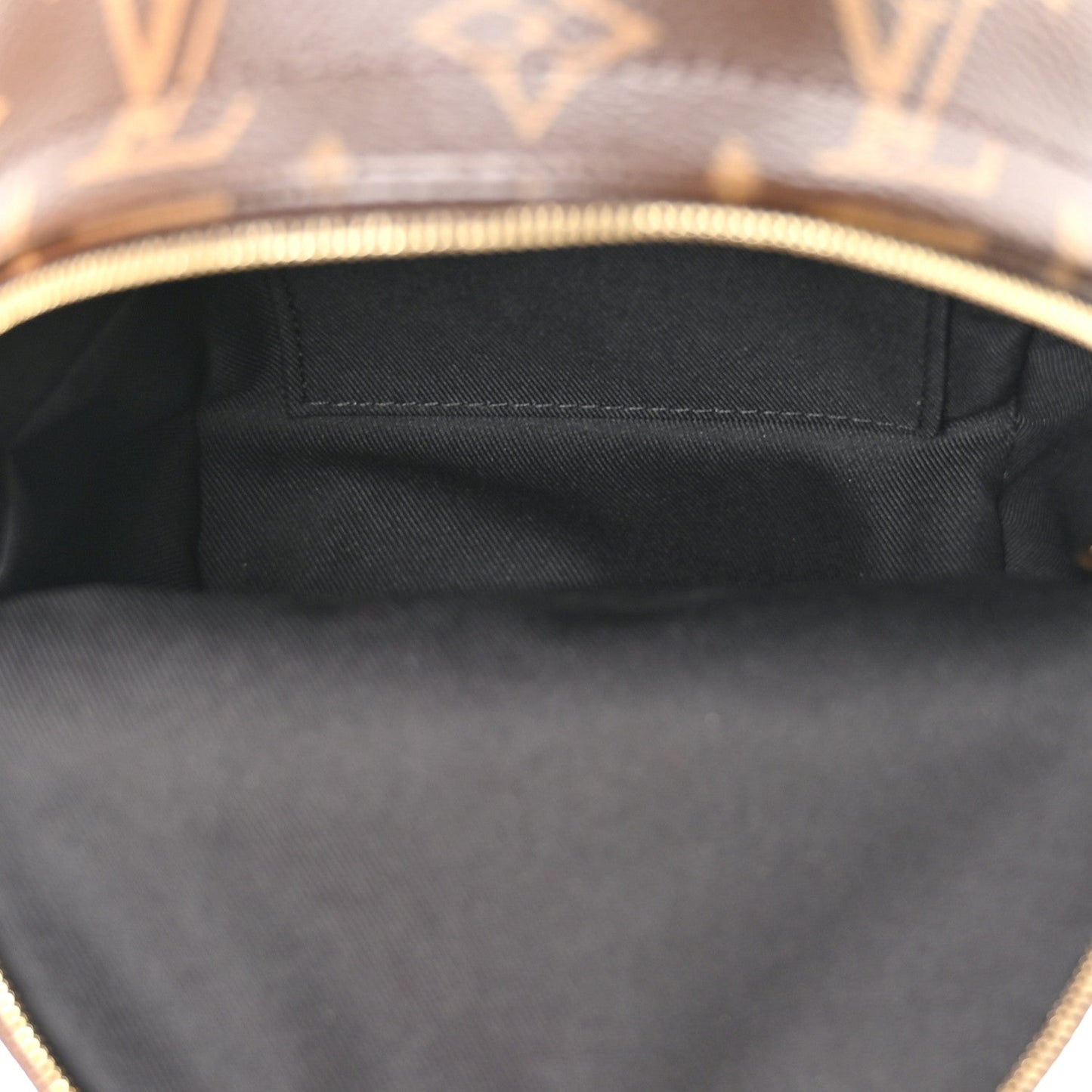 Monogram Palm Springs Backpack Mini