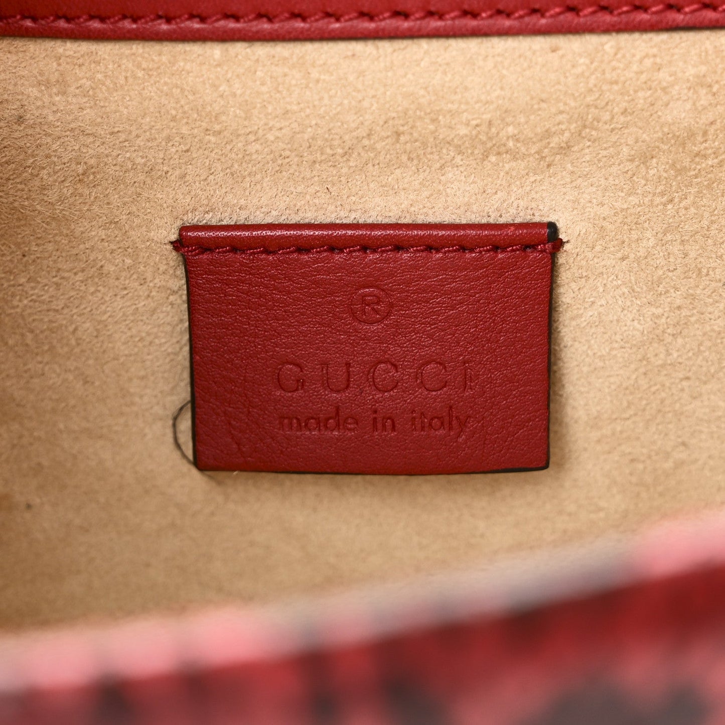 Snakeskin Mini Dionysus Shoulder Bag Red
