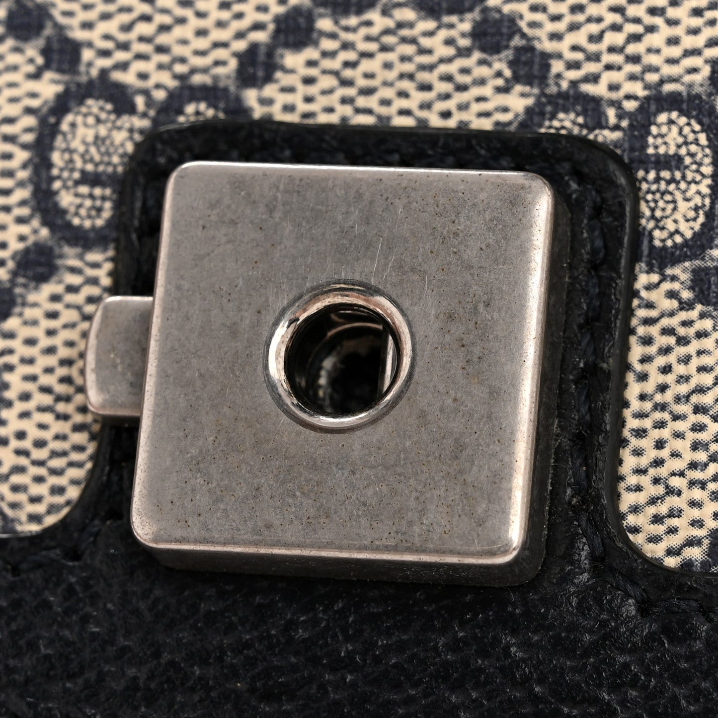 GG Supreme Monogram Textured Dollar Calfskin Small Rectangular Dionysus Shoulder Bag Beige Blue