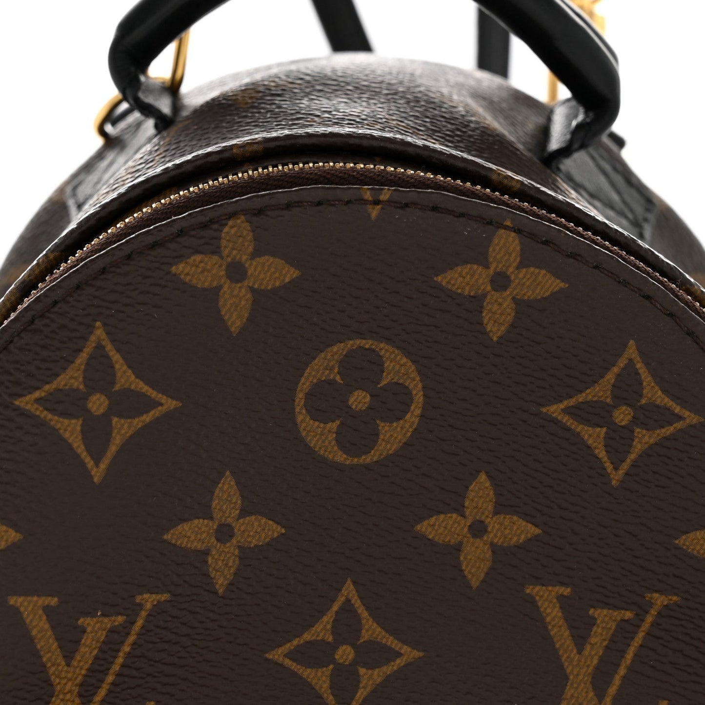 Monogram Palm Springs Backpack Mini