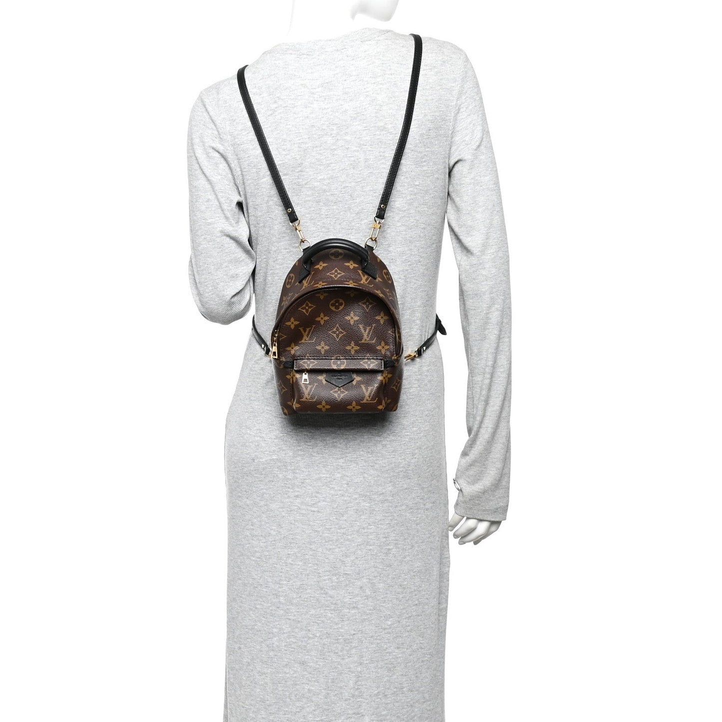 Monogram Palm Springs Backpack Mini