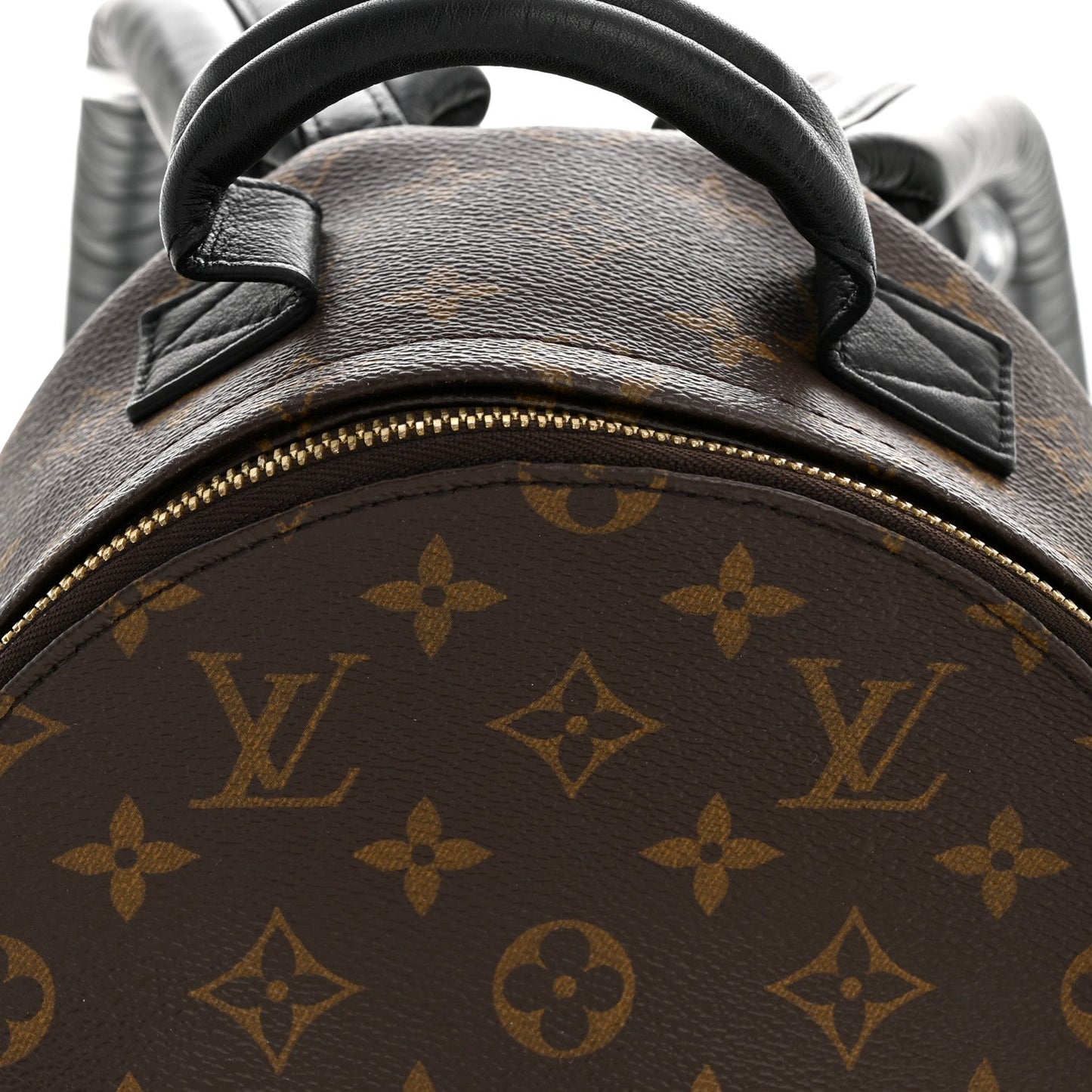 Monogram Palm Springs Backpack PM