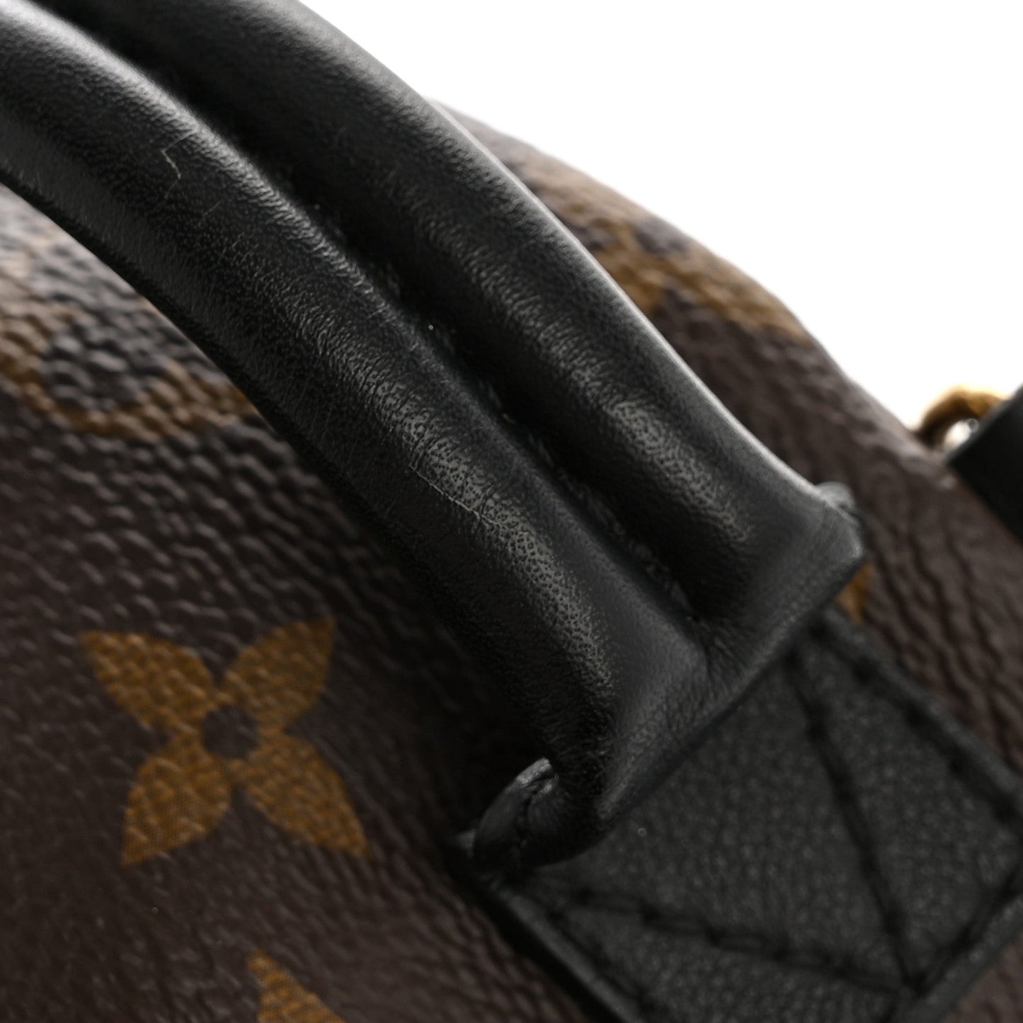 Monogram Palm Springs Backpack Mini