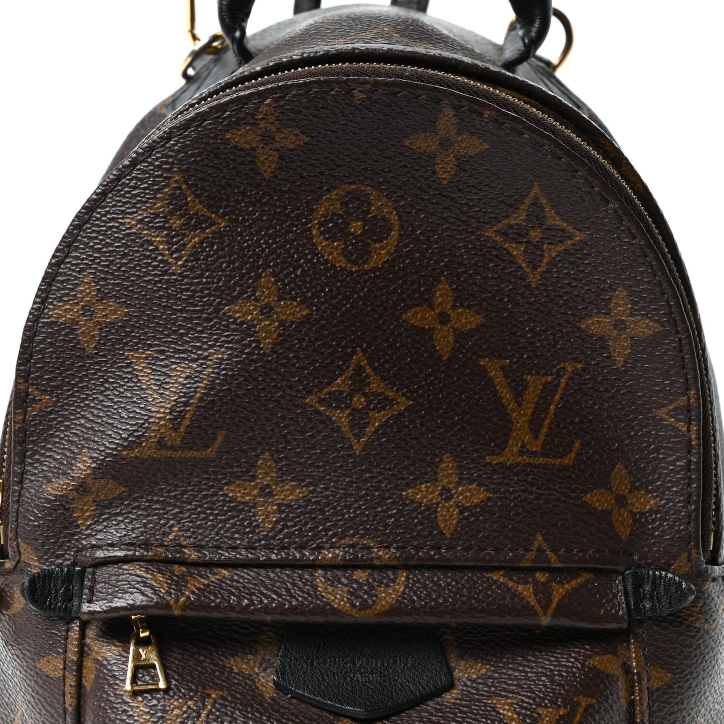 Monogram Palm Springs Backpack Mini