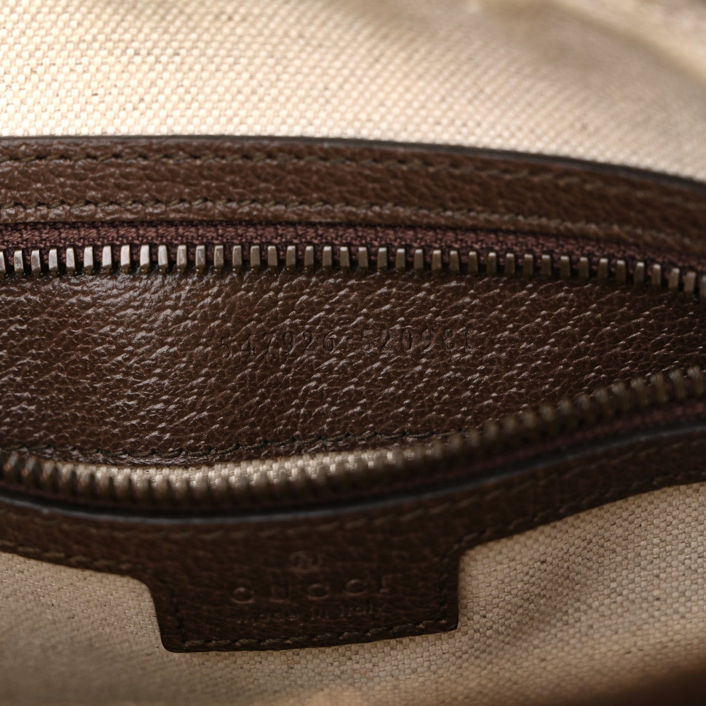 GG Supreme Monogram Web Small Ophidia Messenger Bag Brown