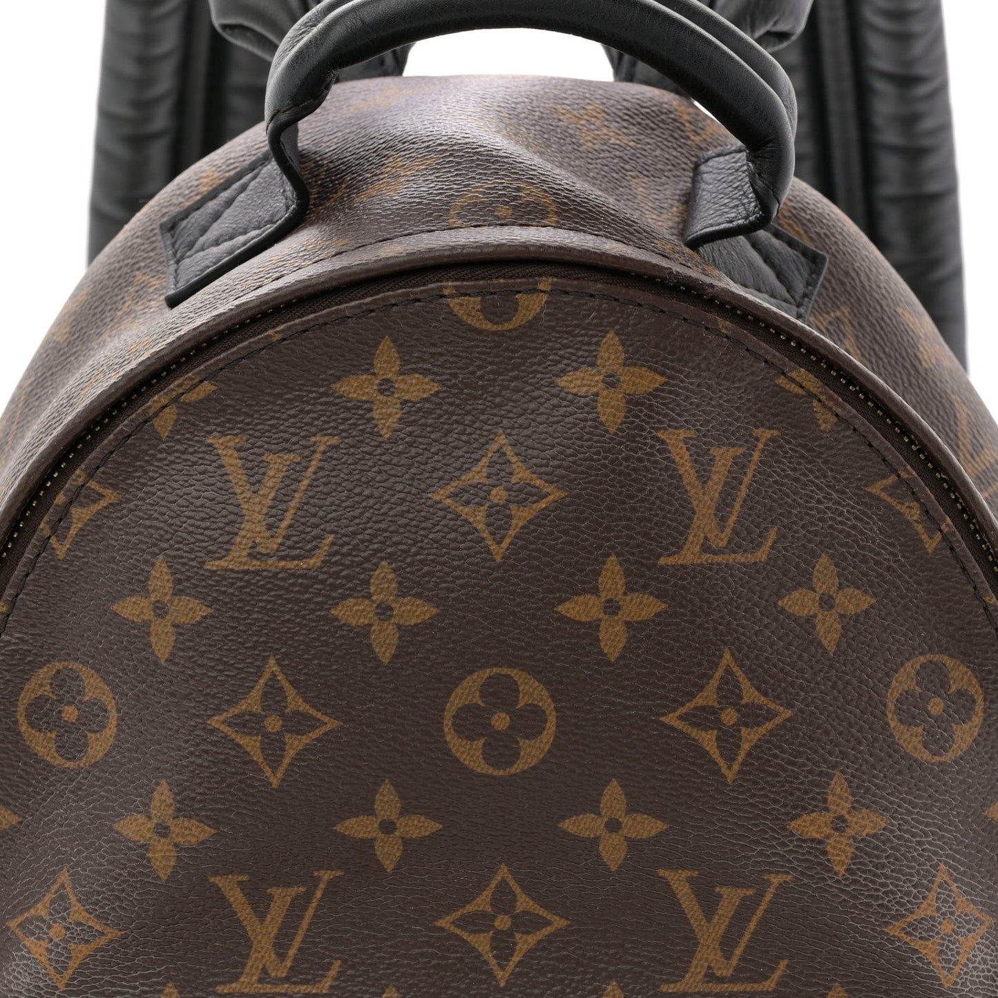 Monogram Palm Springs Backpack PM