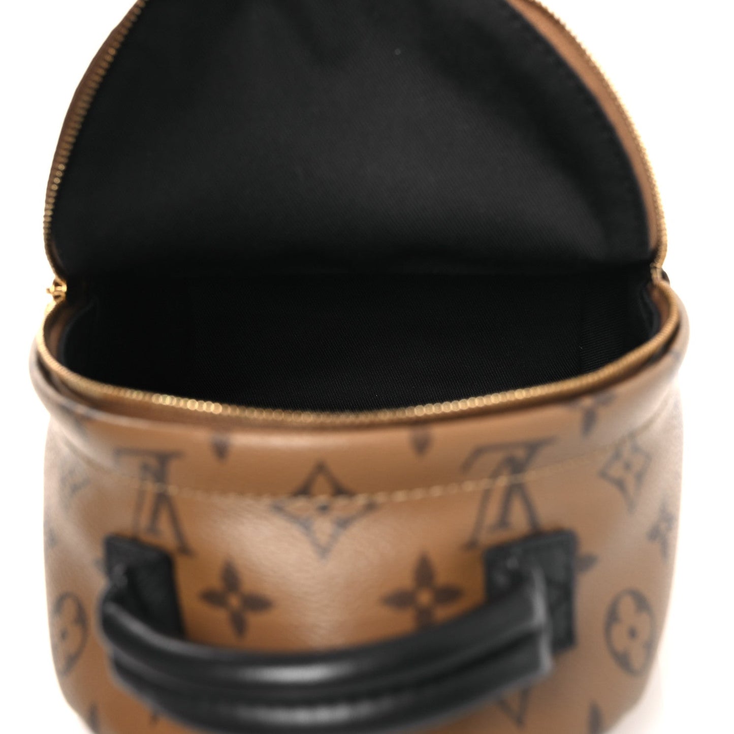 Reverse Monogram Palm Springs Backpack Mini