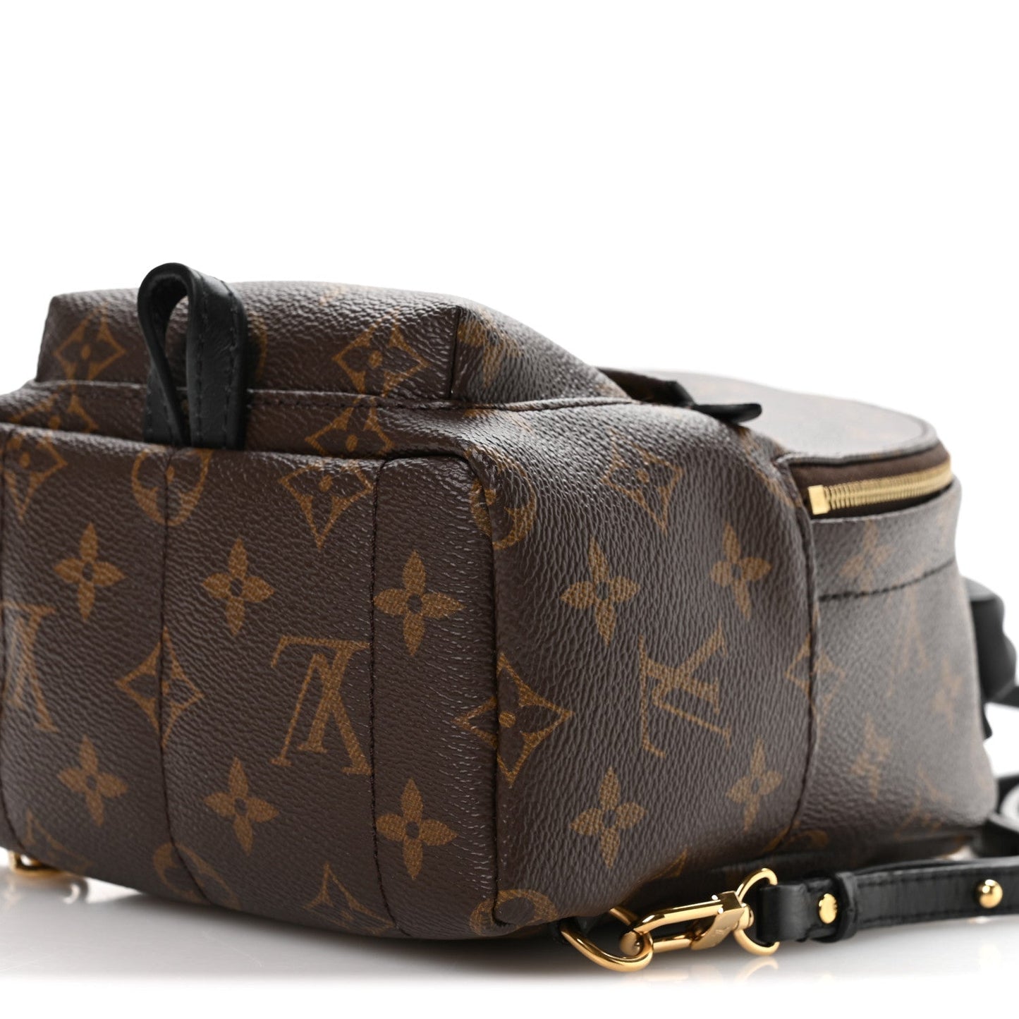 Monogram Palm Springs Backpack Mini