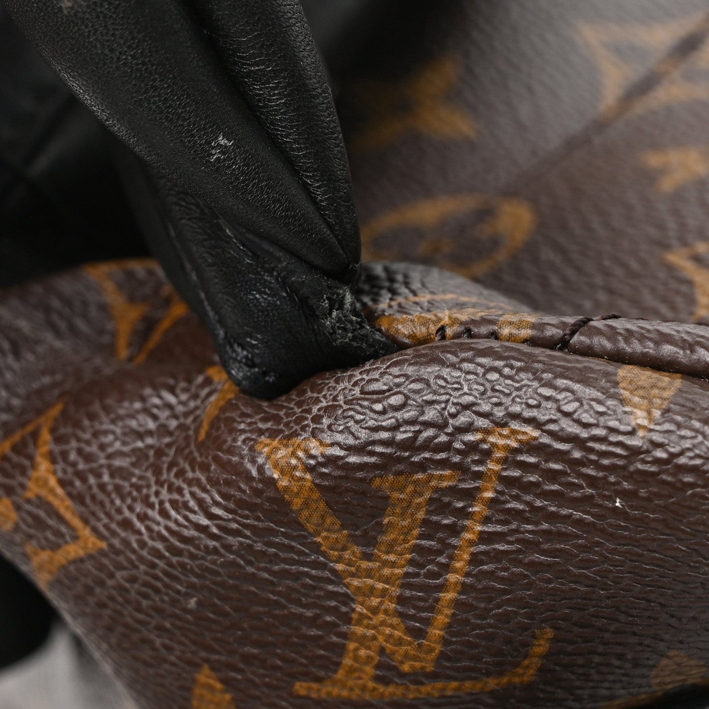 Monogram Palm Springs Backpack MM